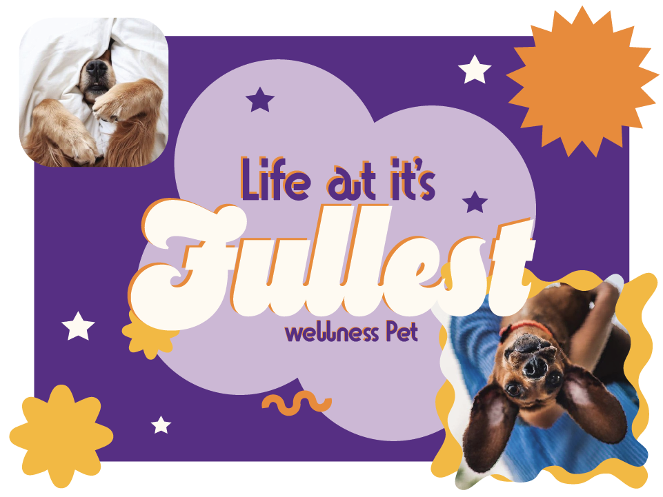 Wellness Pet
