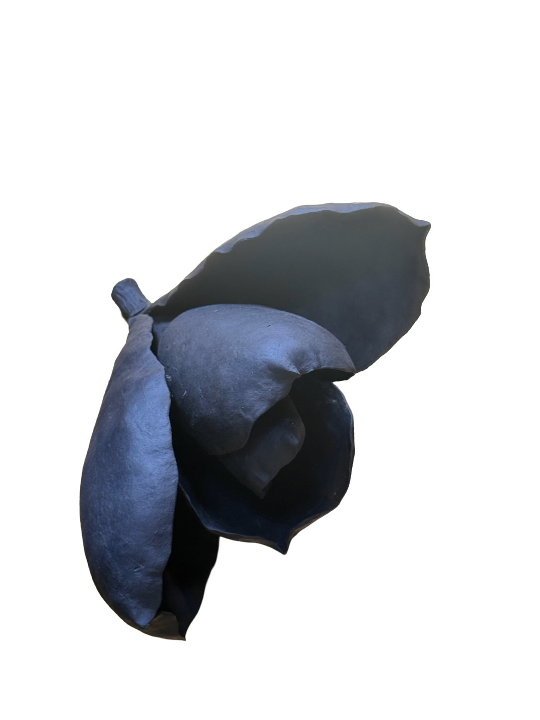 Remove background project - August 12, 2026 at 11.30.40-67.png