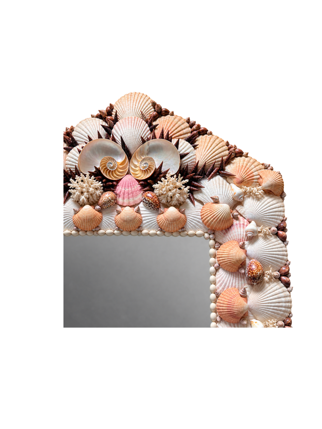 Remove background project - August 12, 2026 at 11.30.40-11.png