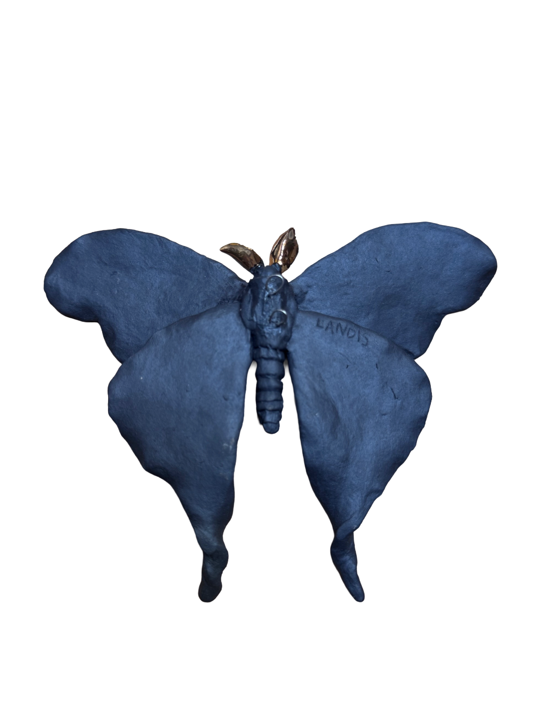 Remove background project - August 12, 2026 at 11.30.40-80.png