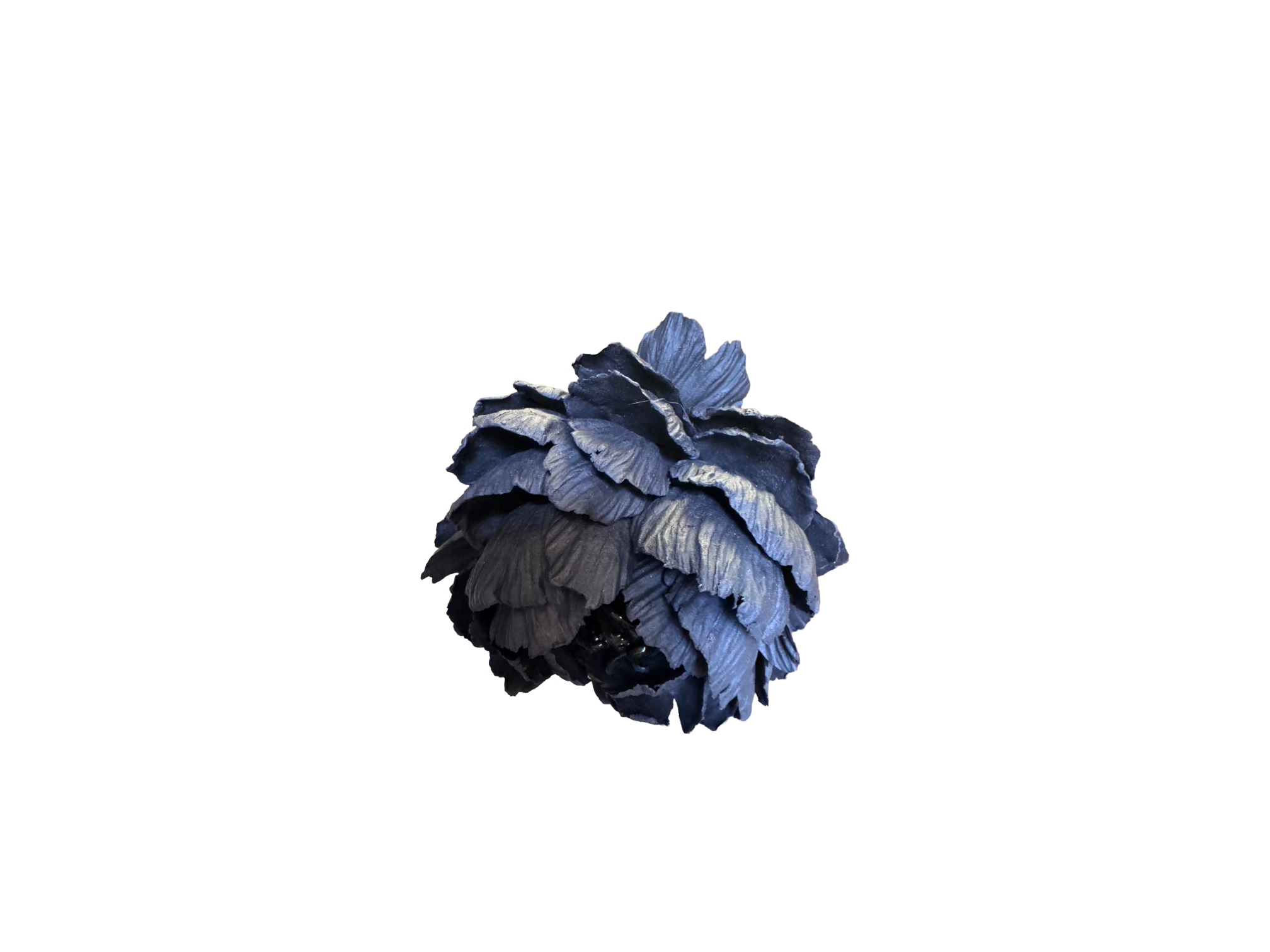 Remove background project - June 18, 2026 at 12.13.44-97.png