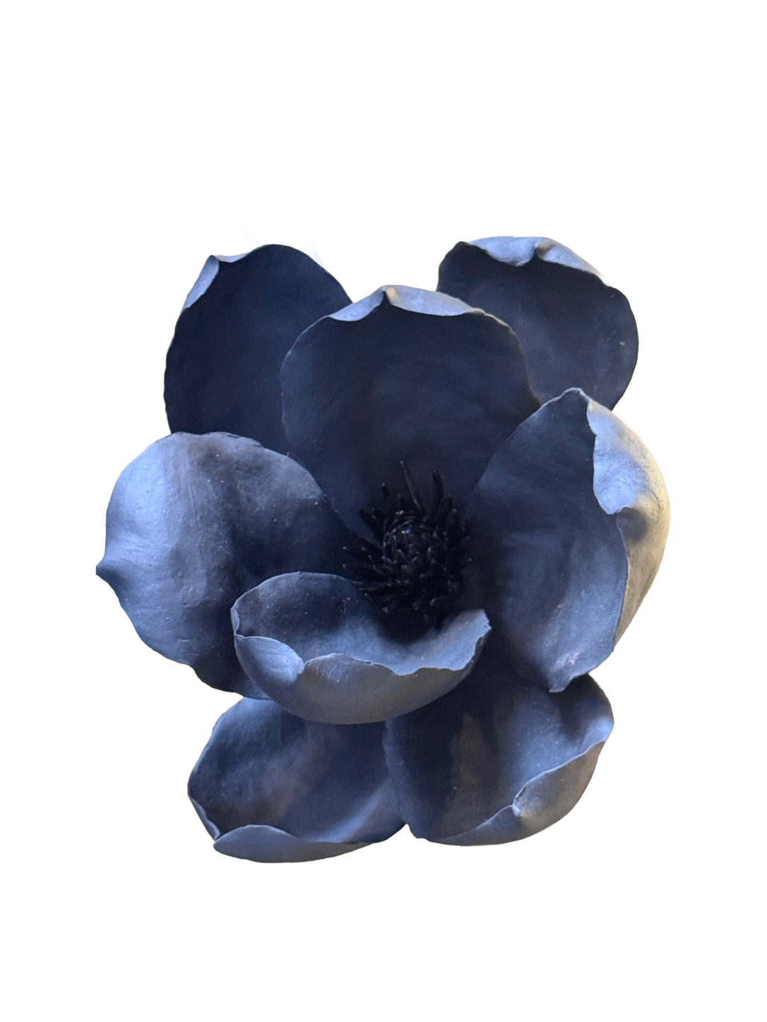 Remove background project - August 12, 2026 at 11.30.40-51.png