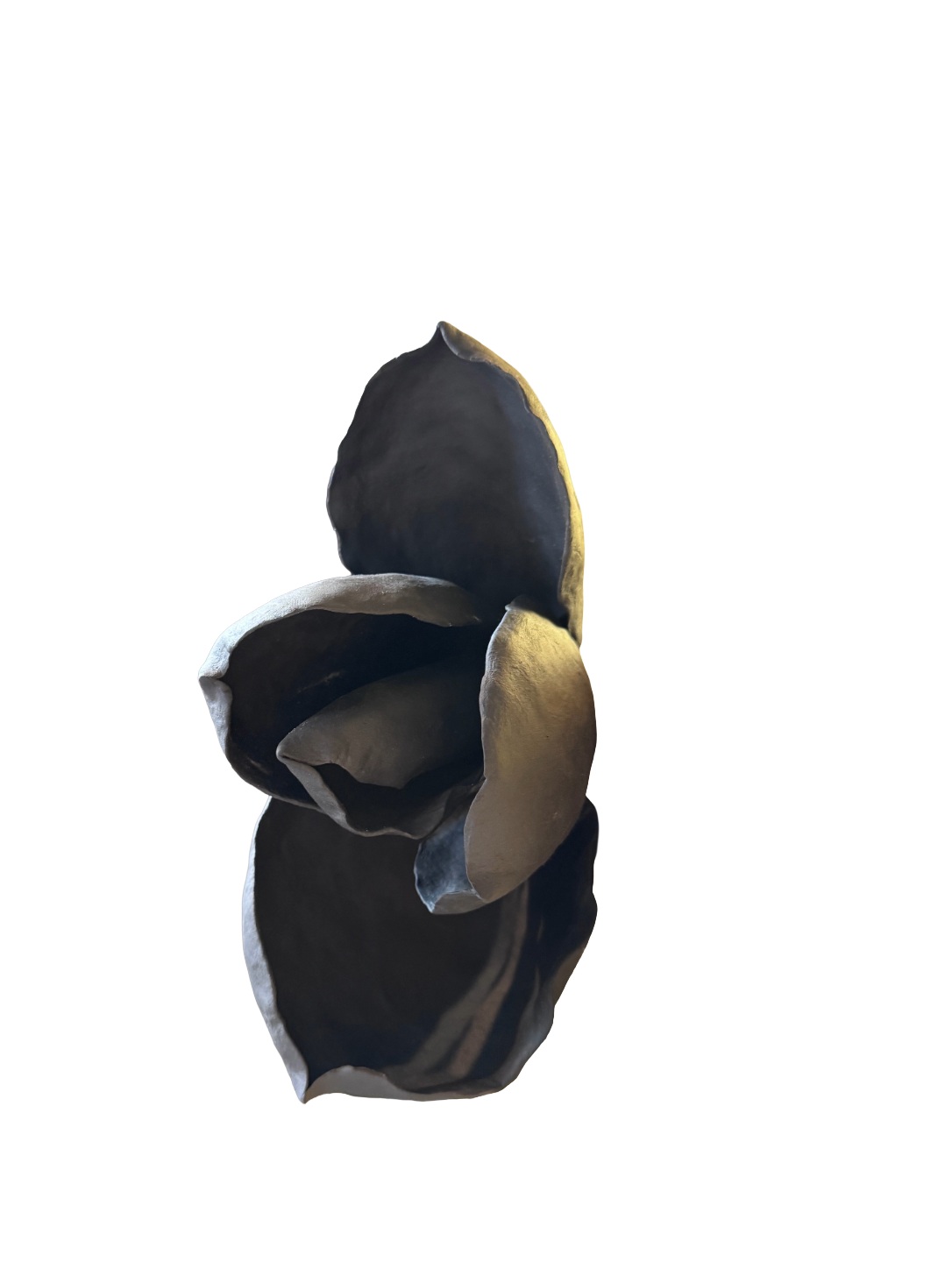 Remove background project - August 12, 2026 at 11.30.40-68.png