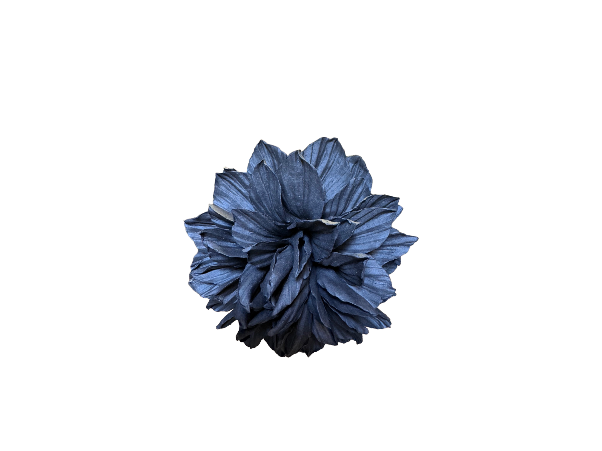 Remove background project - June 18, 2026 at 12.13.44-85.png