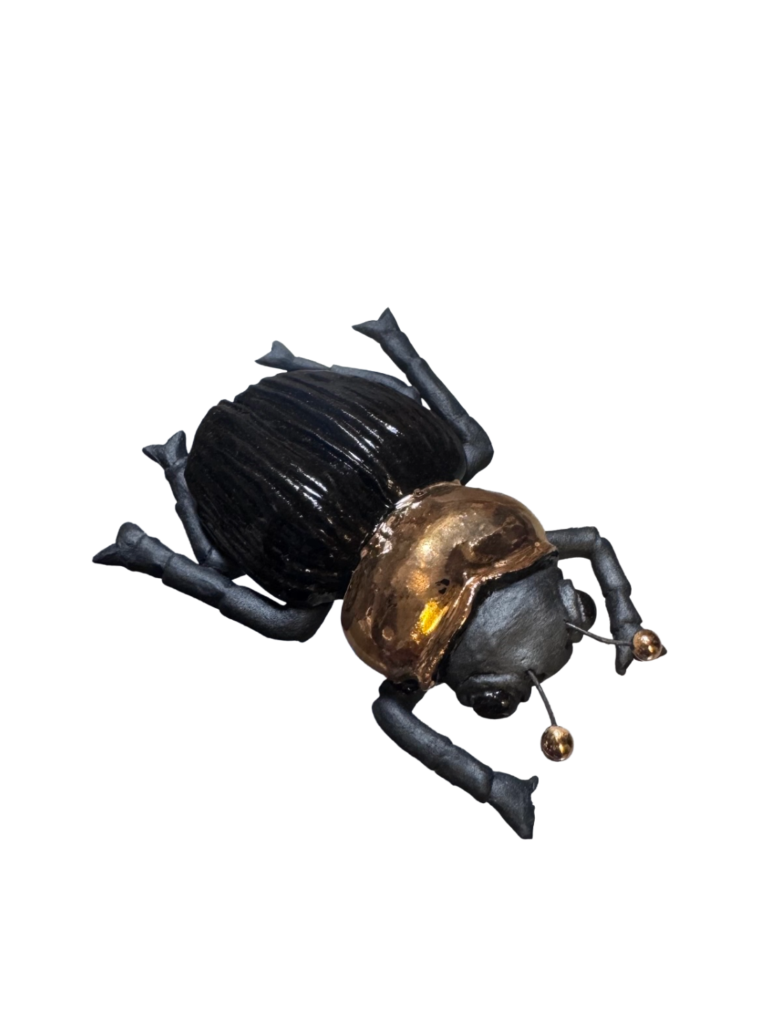 Black and Gold Porcelain Beetle