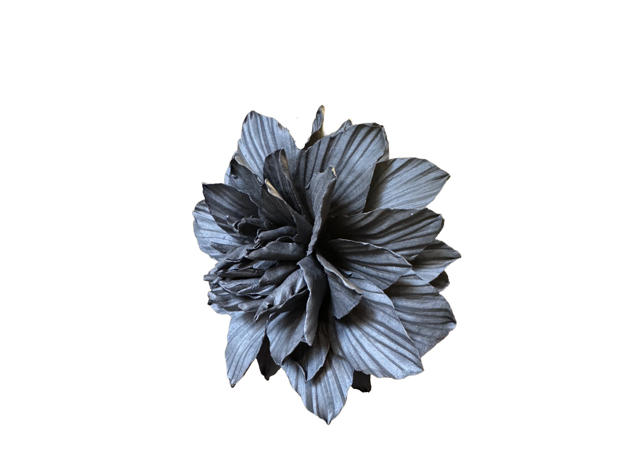 Remove background project - June 18, 2026 at 12.13.44-94.png