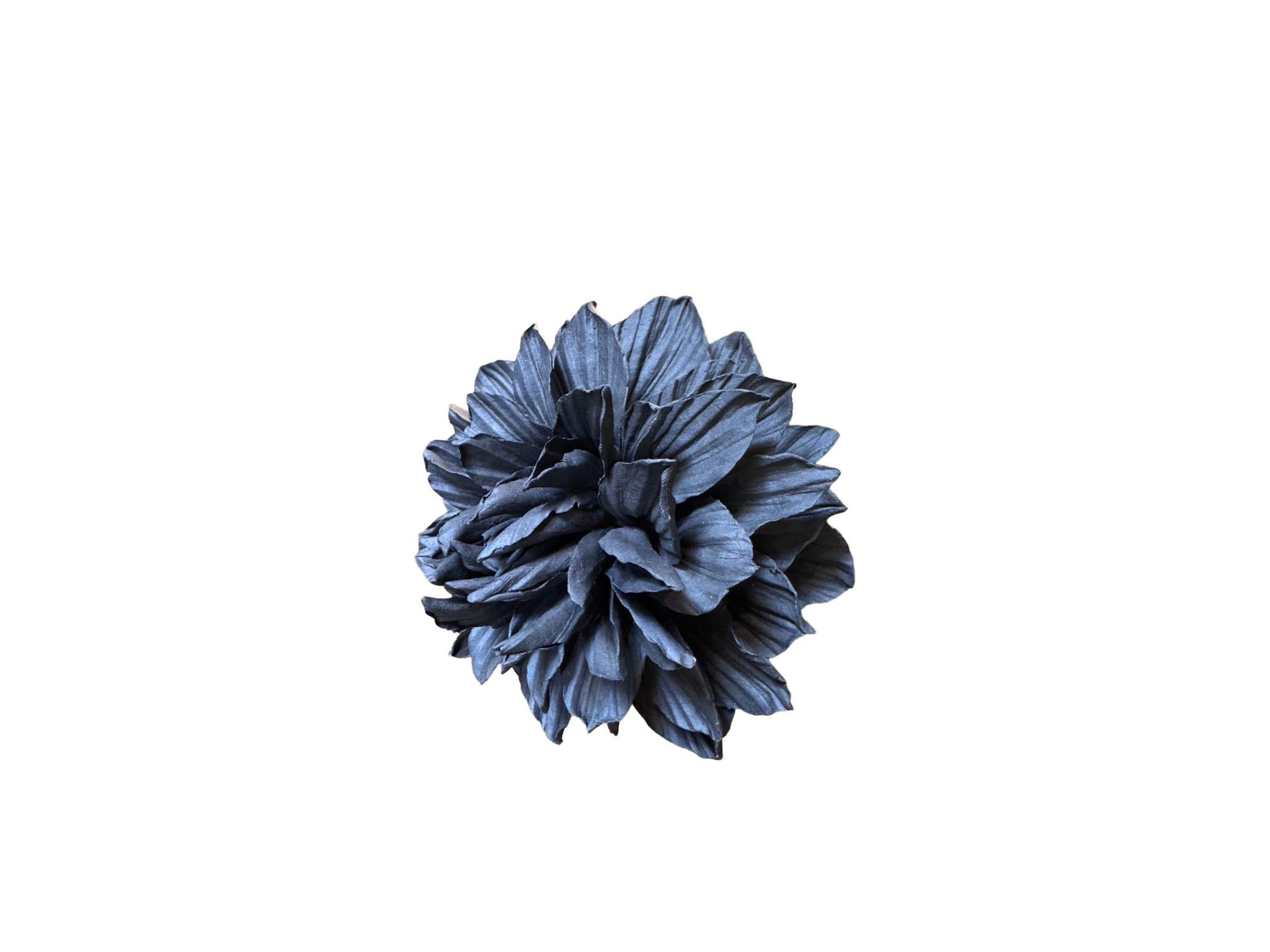 Remove background project - June 18, 2026 at 12.13.44-86.png