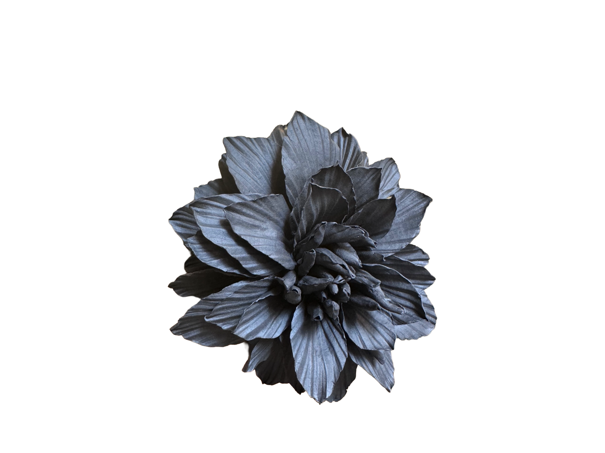 Remove background project - June 18, 2026 at 12.13.44-91.png