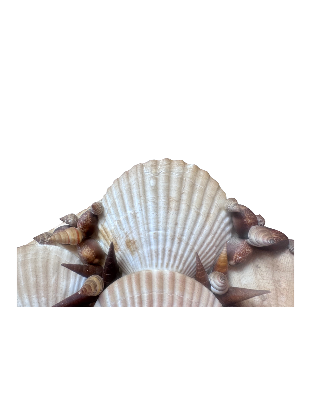 Remove background project - August 12, 2026 at 11.30.40-93.png