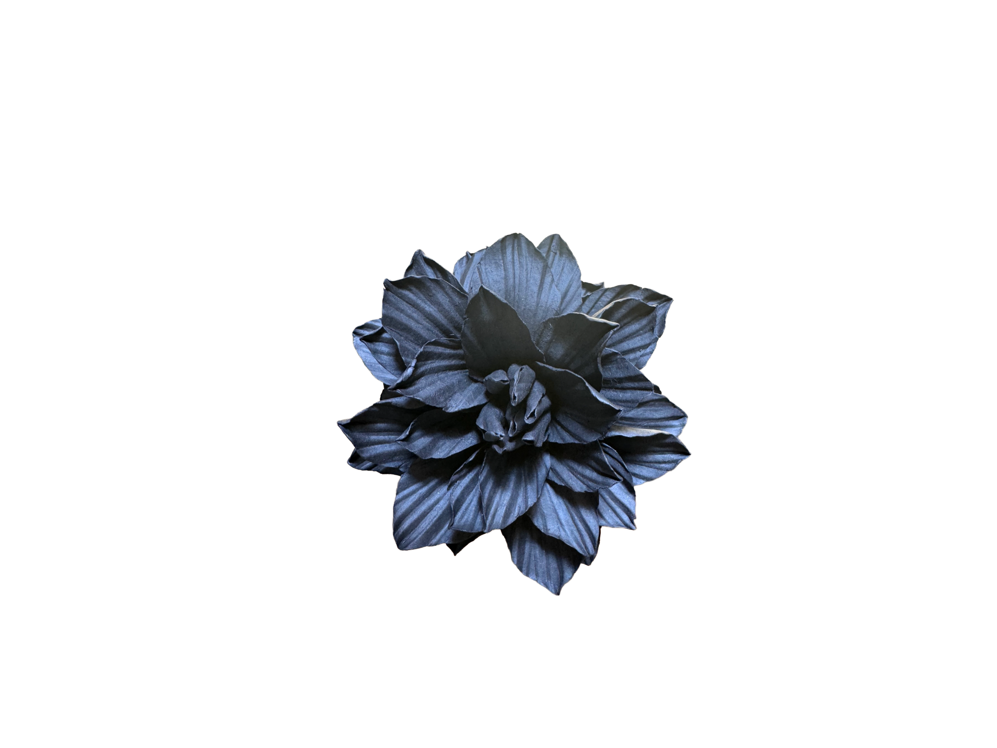 Black Porcelain Dahlia Small