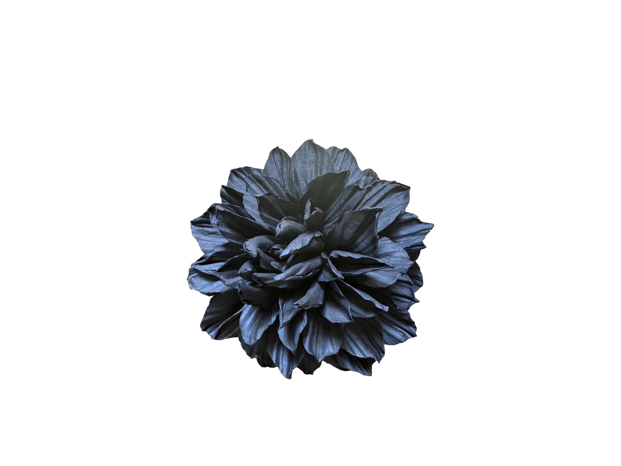 Remove background project - June 18, 2026 at 12.13.44-88.png