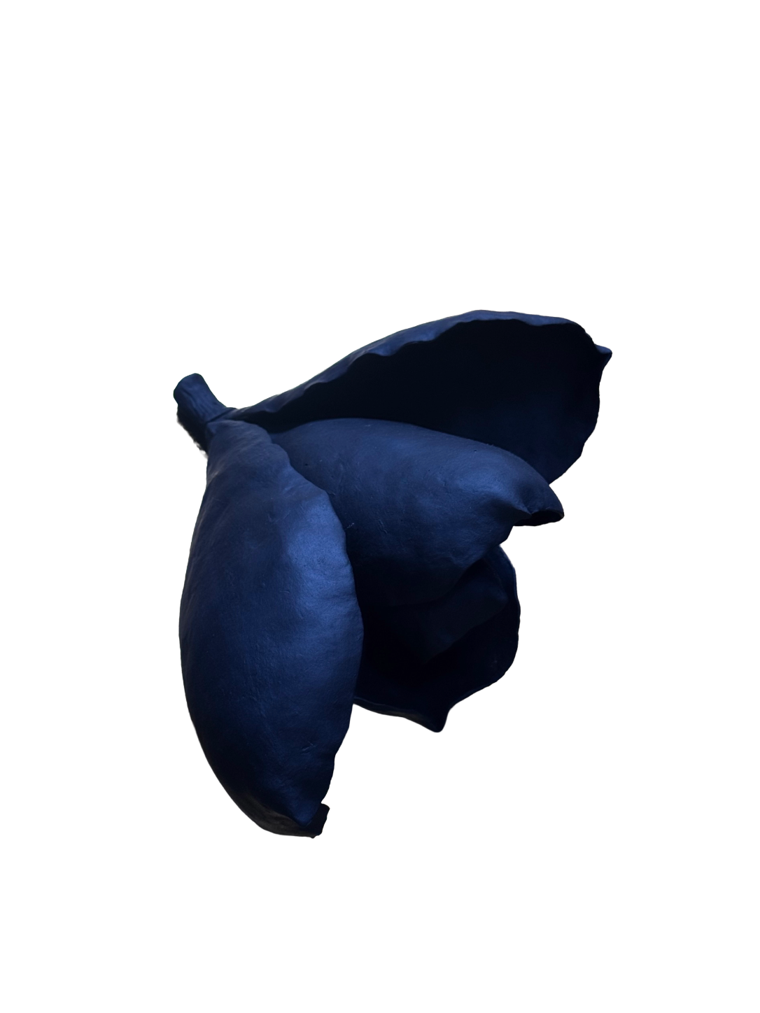 Remove background project - August 12, 2026 at 11.30.40-70.png