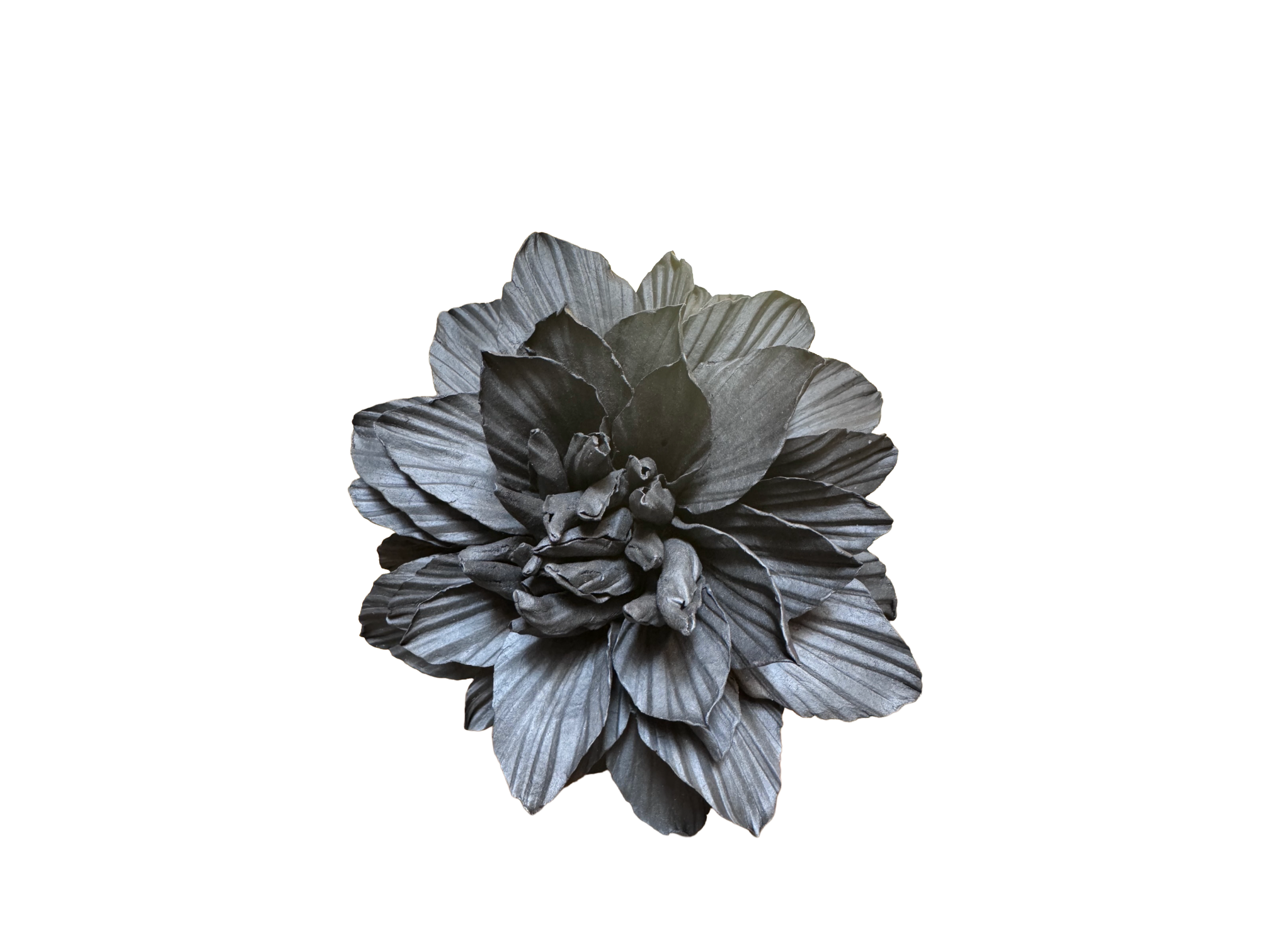 Black Porcelain Dahlia Large