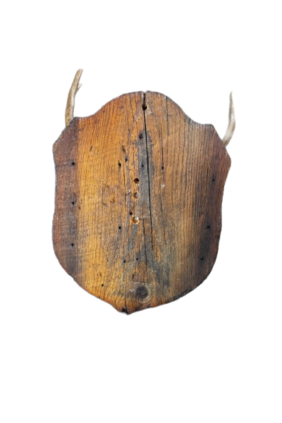 Remove background project-1844.png