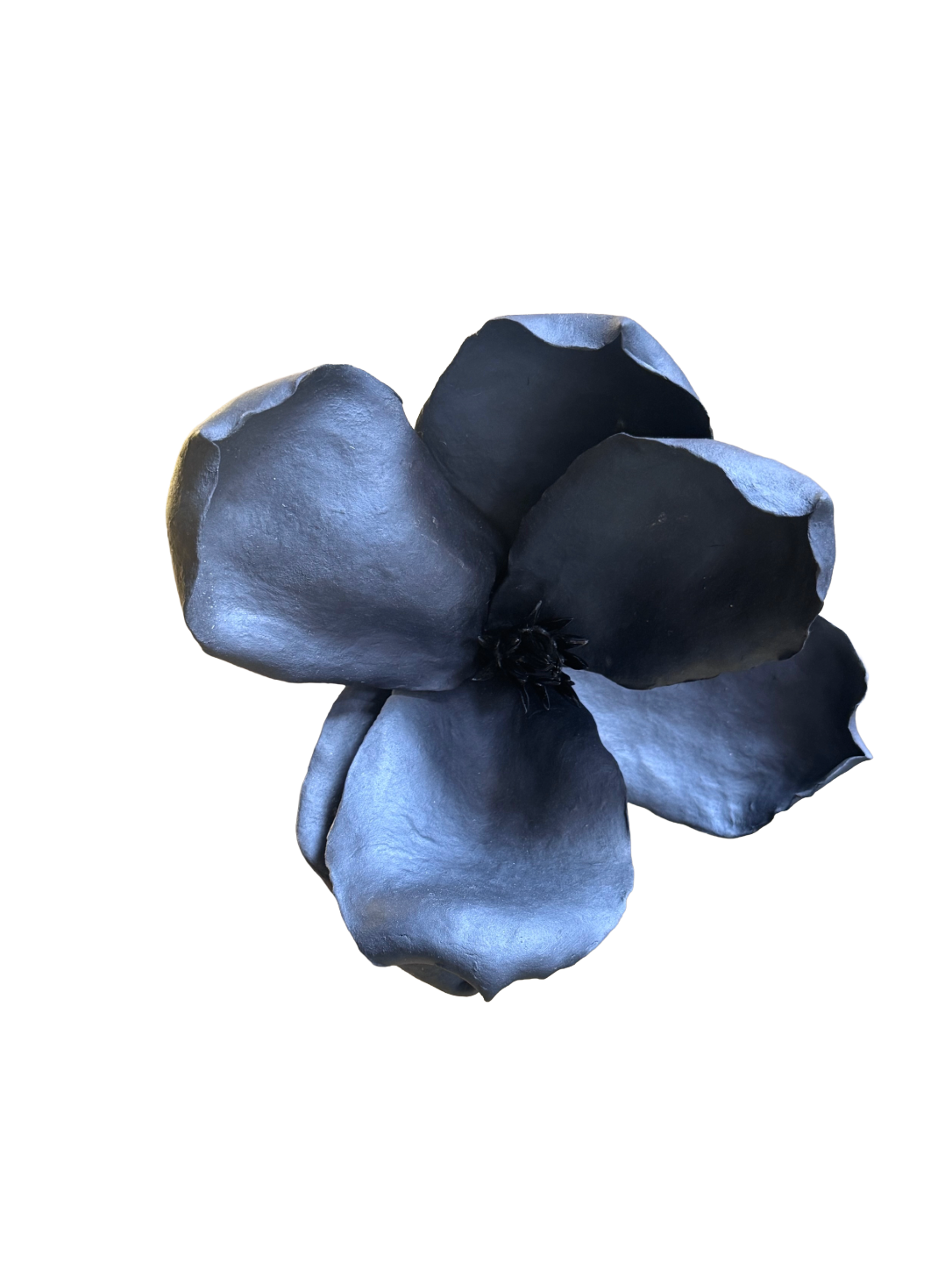 Remove background project - August 12, 2026 at 11.30.40-60.png