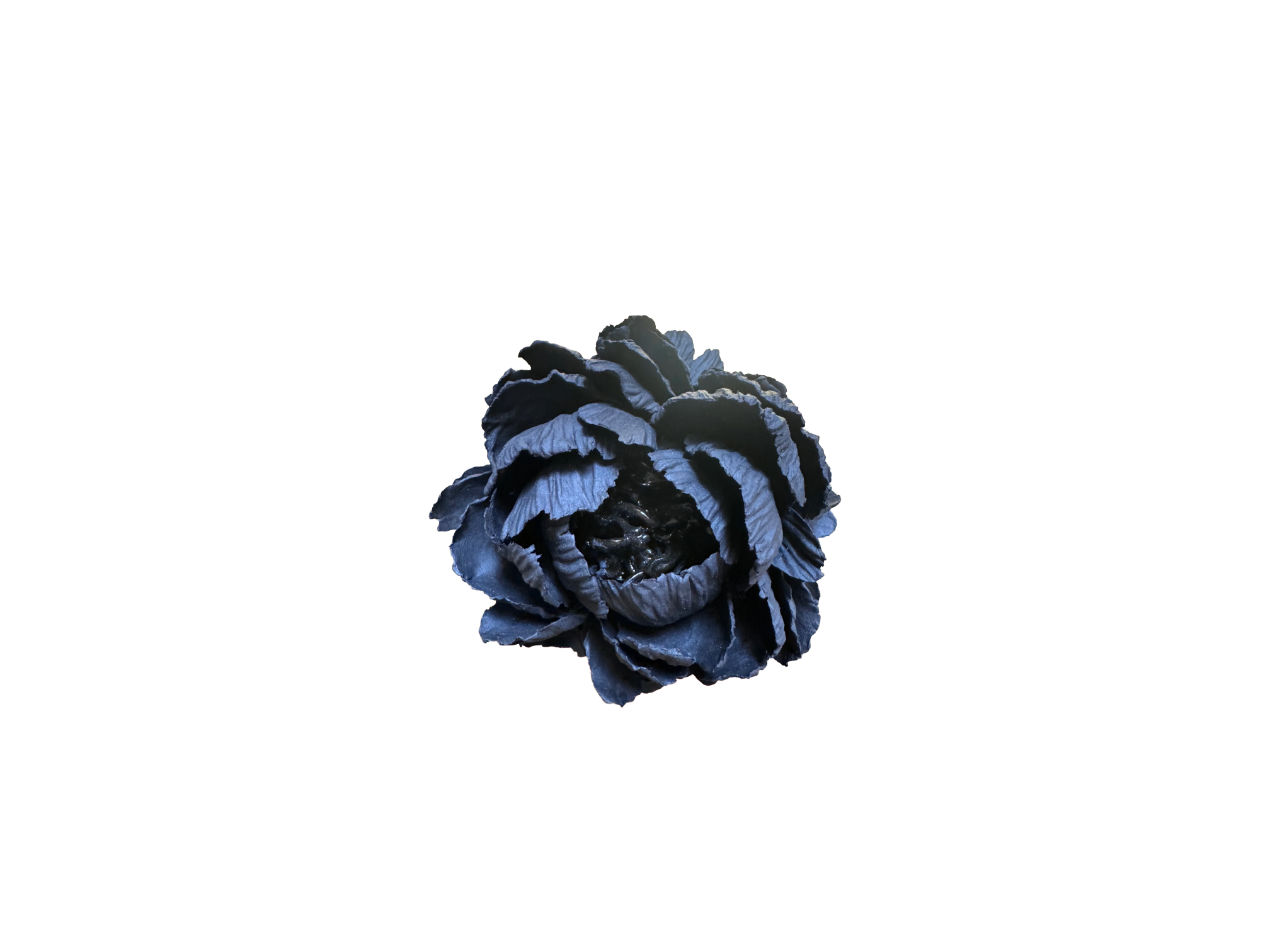 Remove background project - June 18, 2026 at 12.13.44-101.png