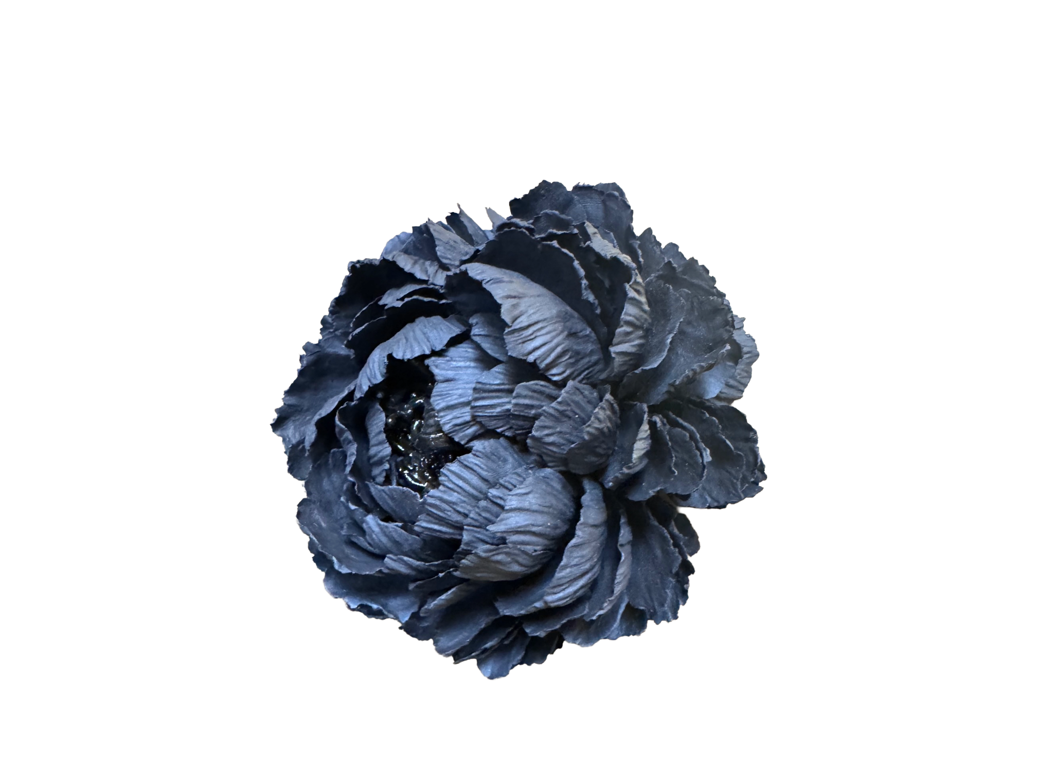 Remove background project - June 18, 2026 at 12.13.44-109.png