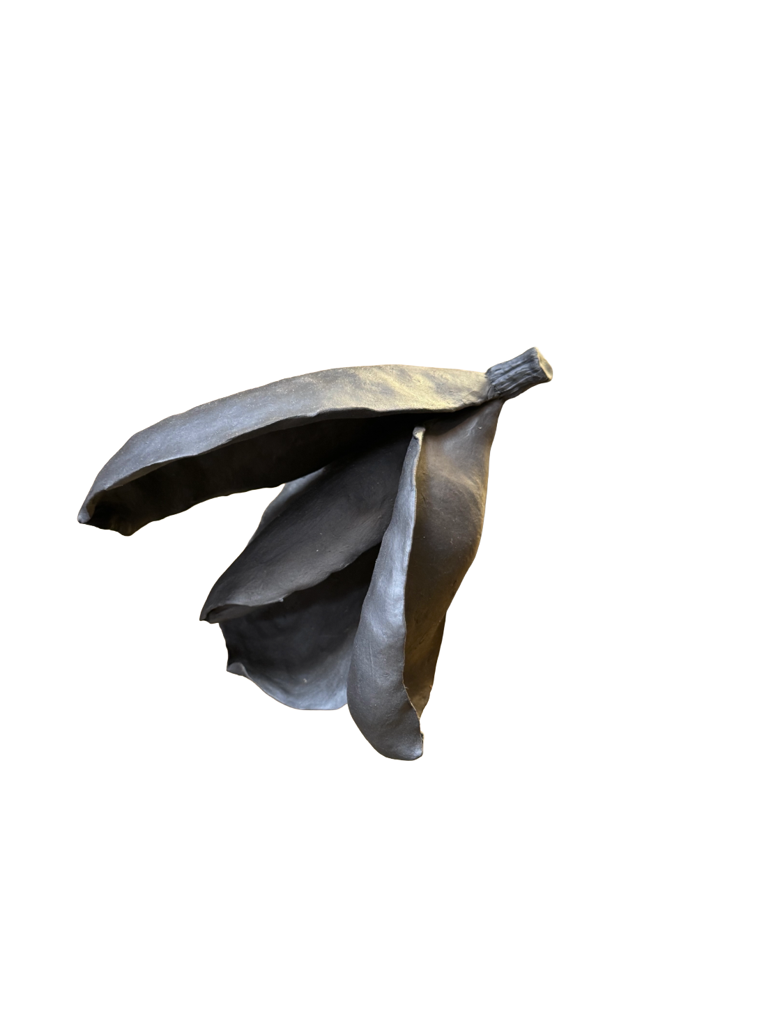 Remove background project - August 12, 2026 at 11.30.40-63.png