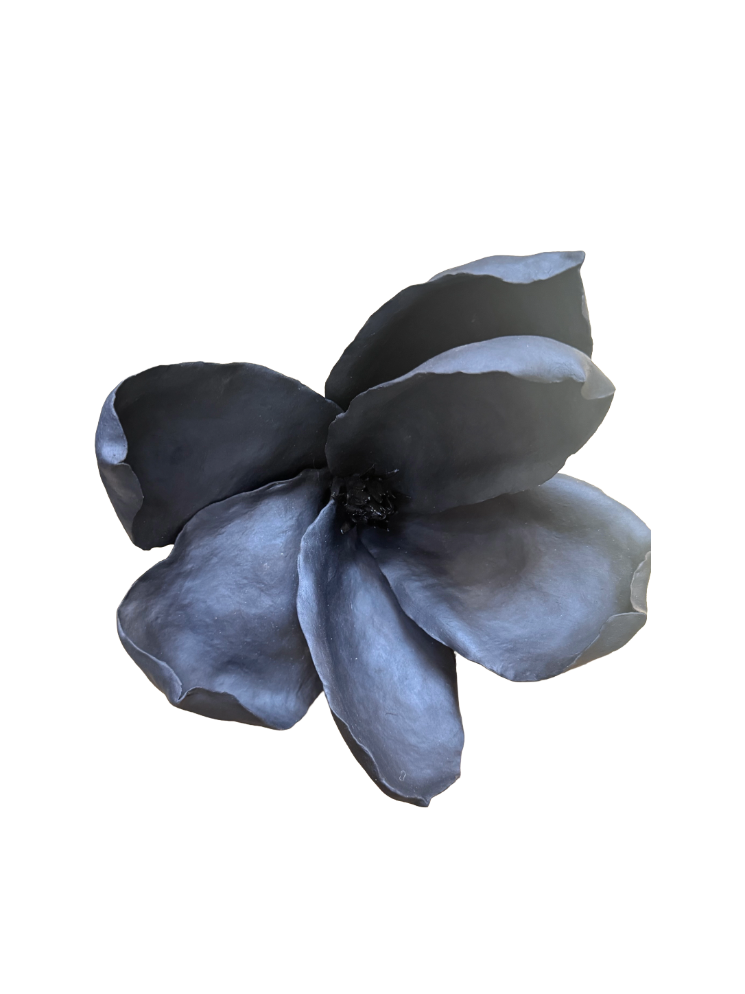 Remove background project - August 12, 2026 at 11.30.40-56.png