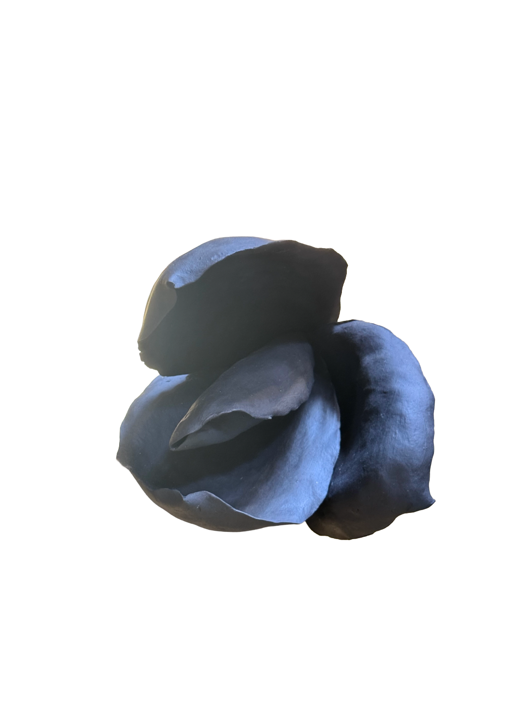 Remove background project - August 12, 2026 at 11.30.40-66.png