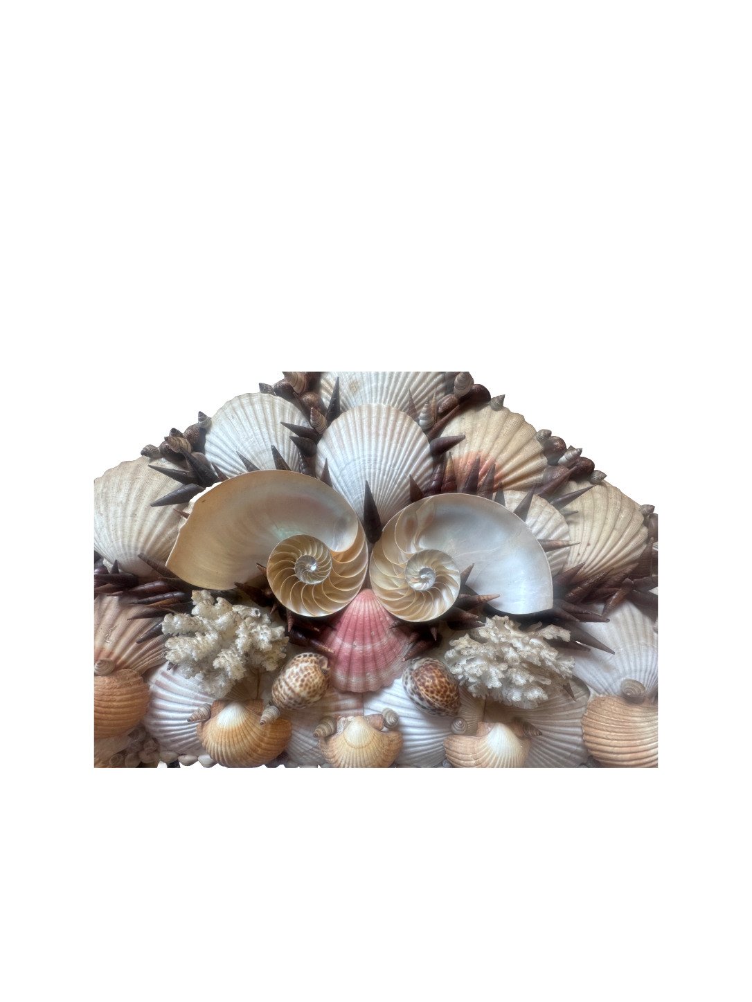 Remove background project - August 12, 2026 at 11.30.40-94.png