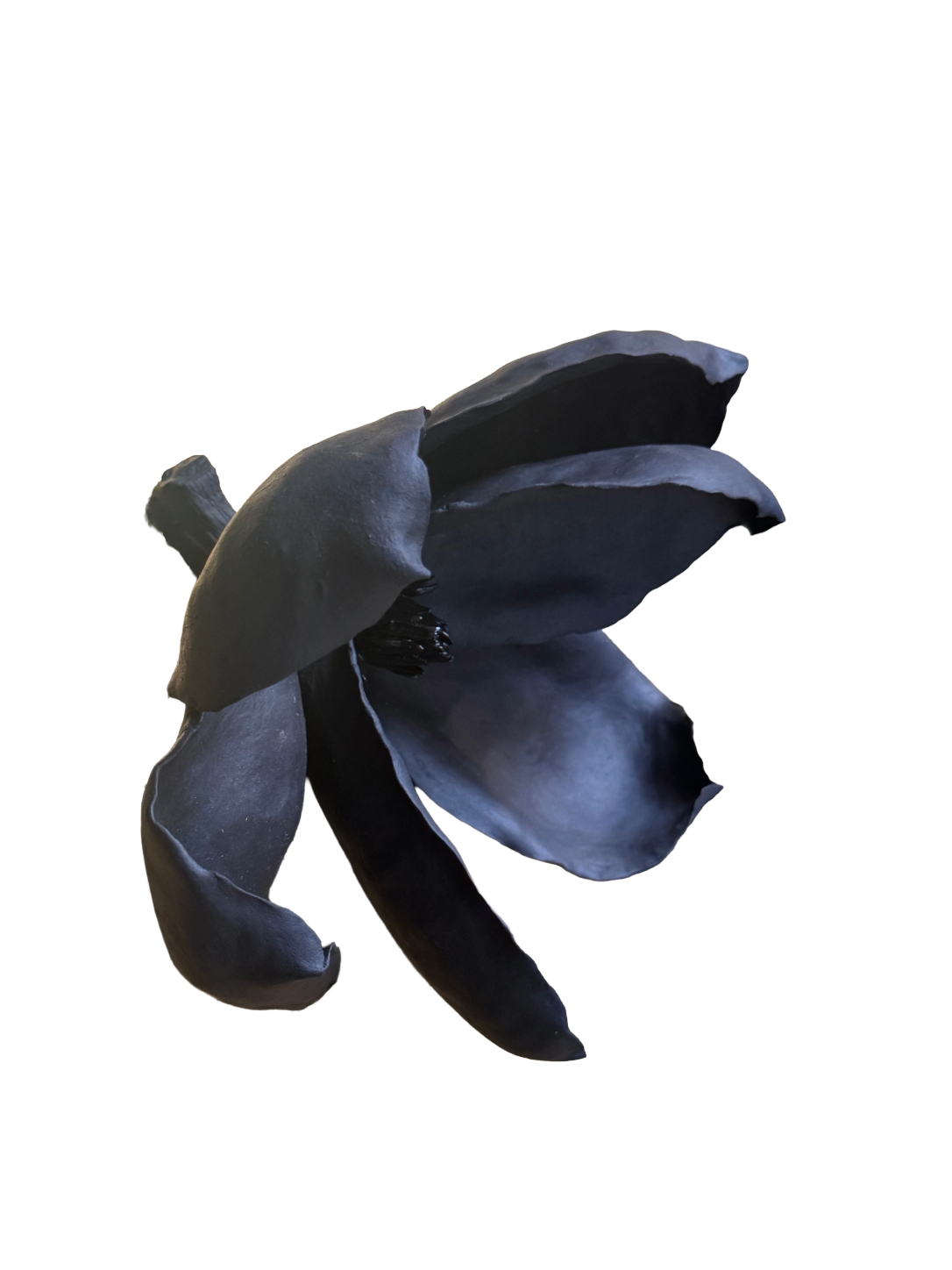 Remove background project - August 12, 2026 at 11.30.40-54.png