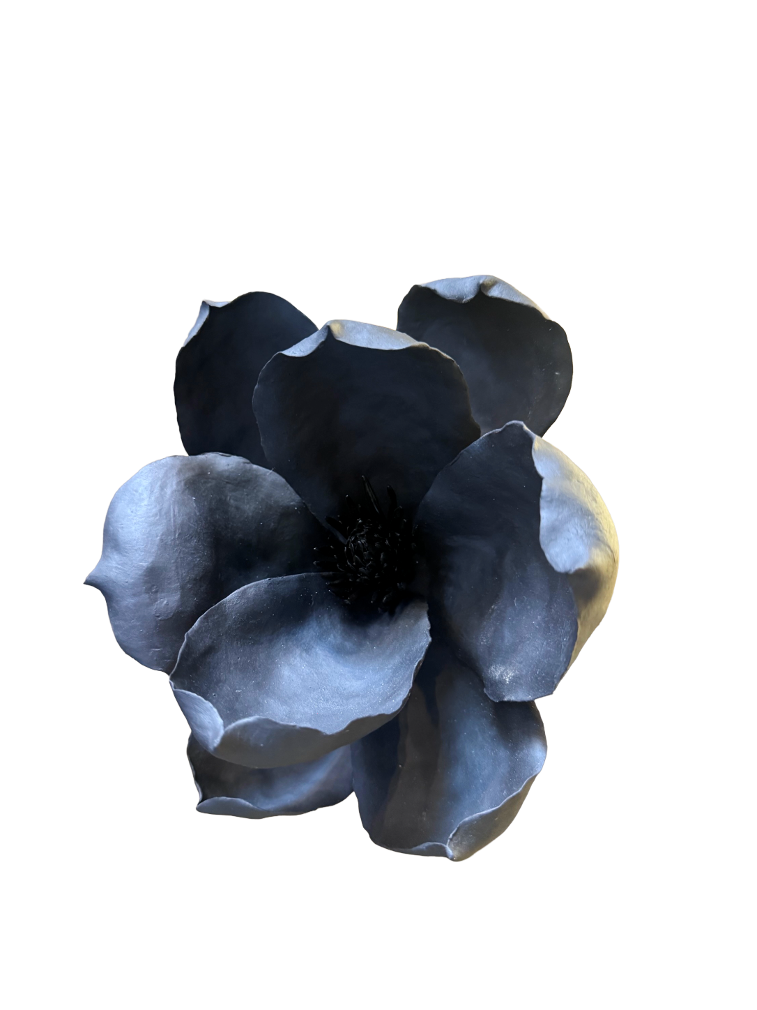 Remove background project - August 12, 2026 at 11.30.40-46.png