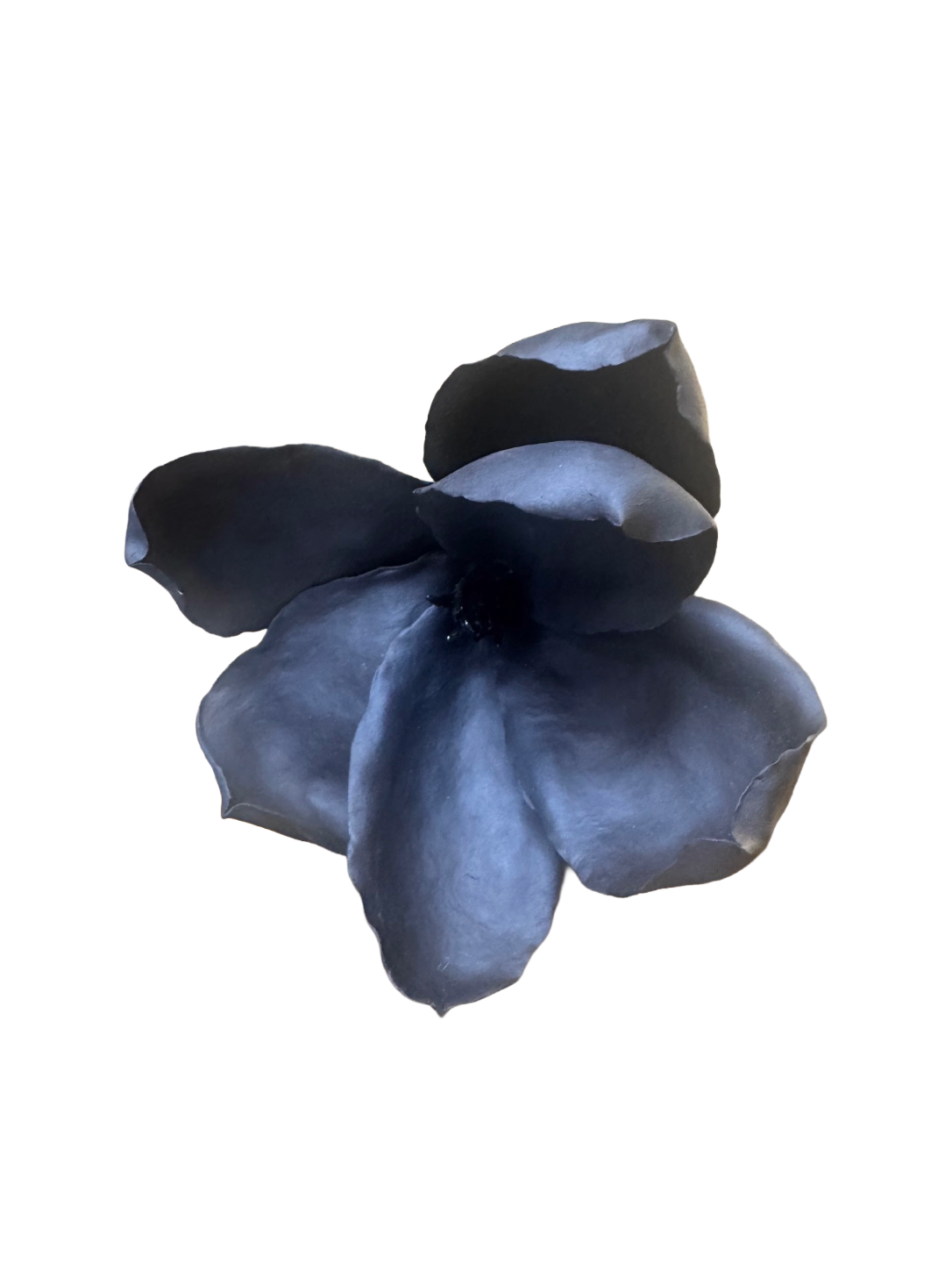 Remove background project - August 12, 2026 at 11.30.40-55.png
