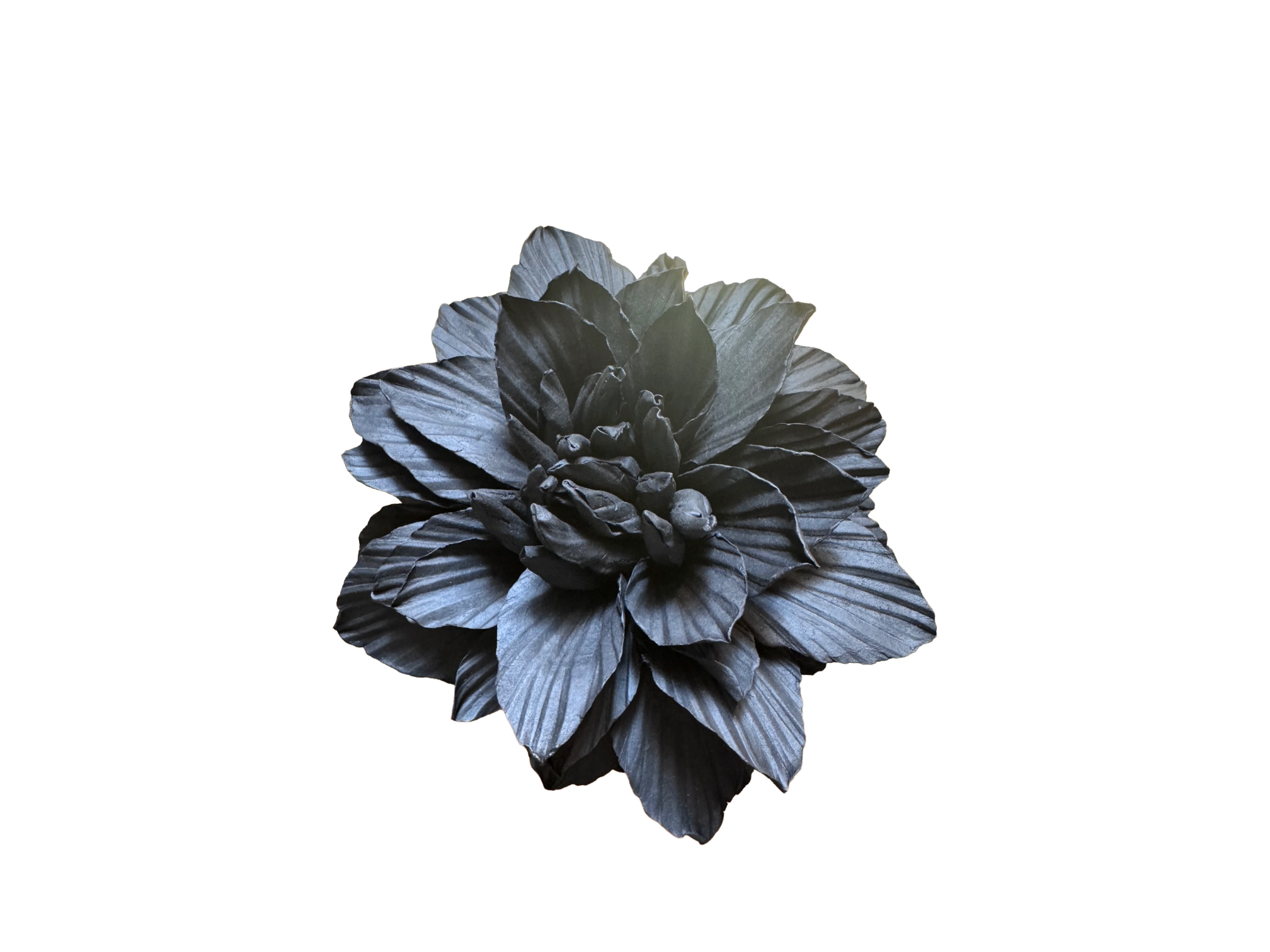 Remove background project - June 18, 2026 at 12.13.44-92.png