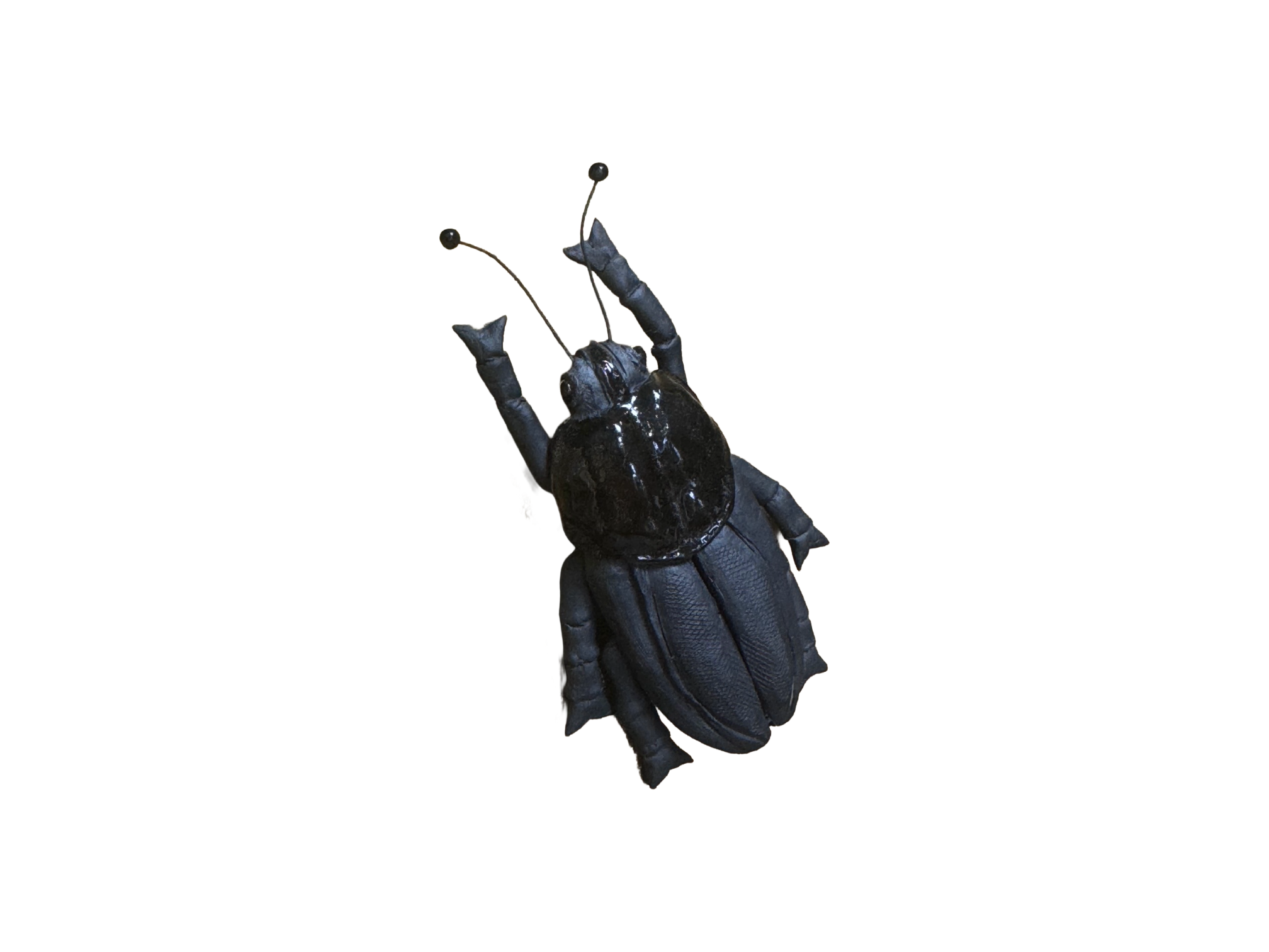 Remove background project - June 18, 2026 at 12.13.44-74.png
