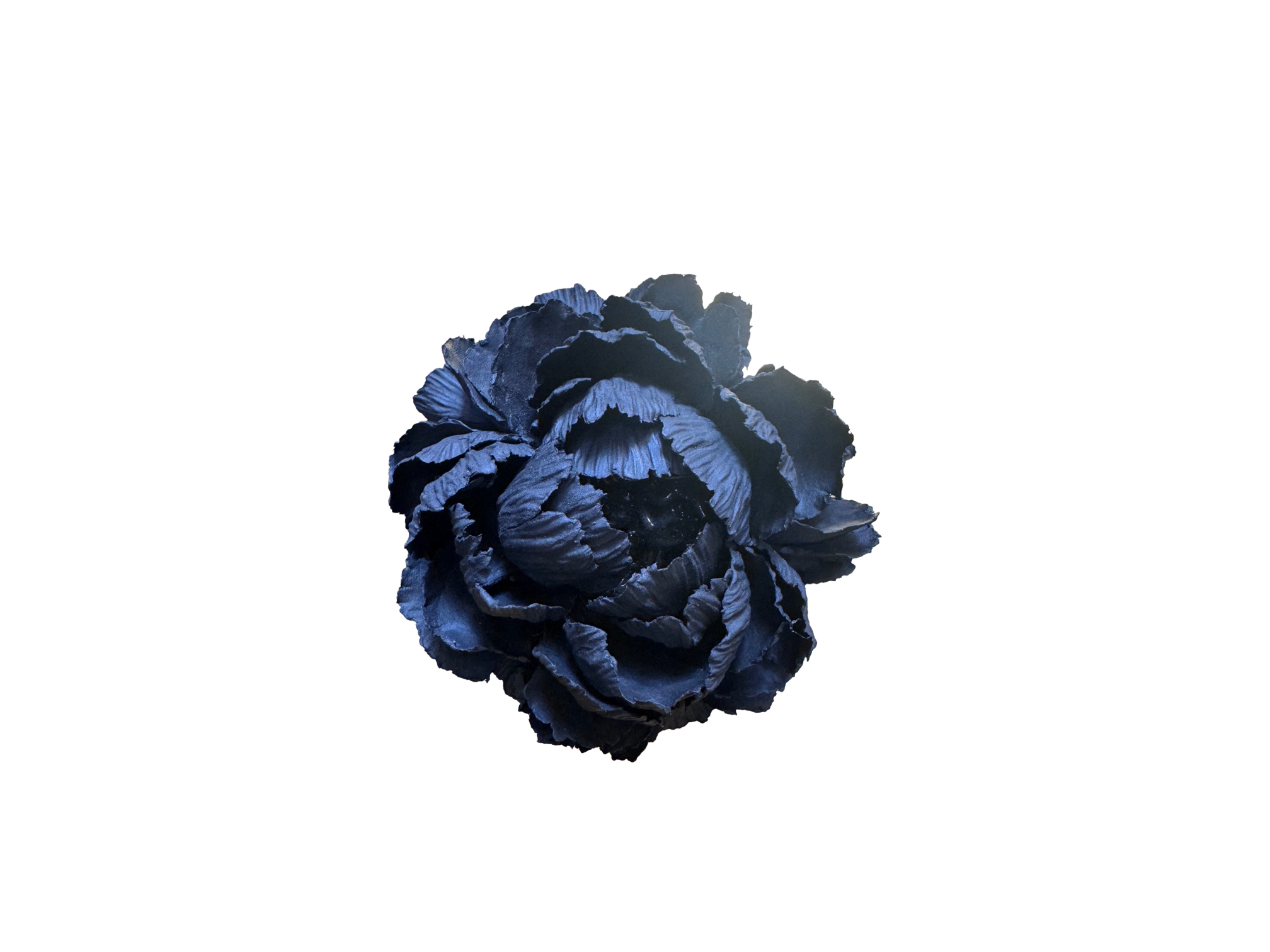 Remove background project - June 18, 2026 at 12.13.44-103.png