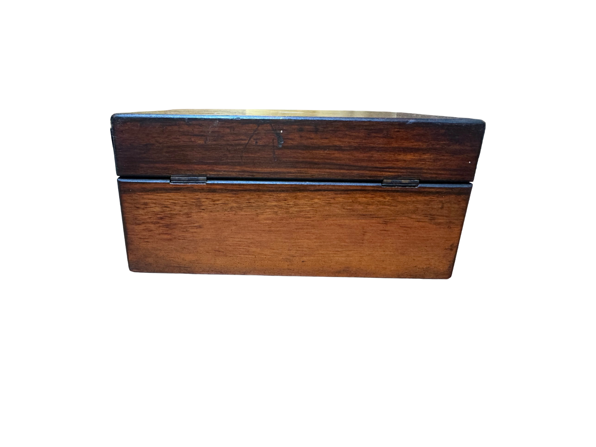 Remove background project-1787.png