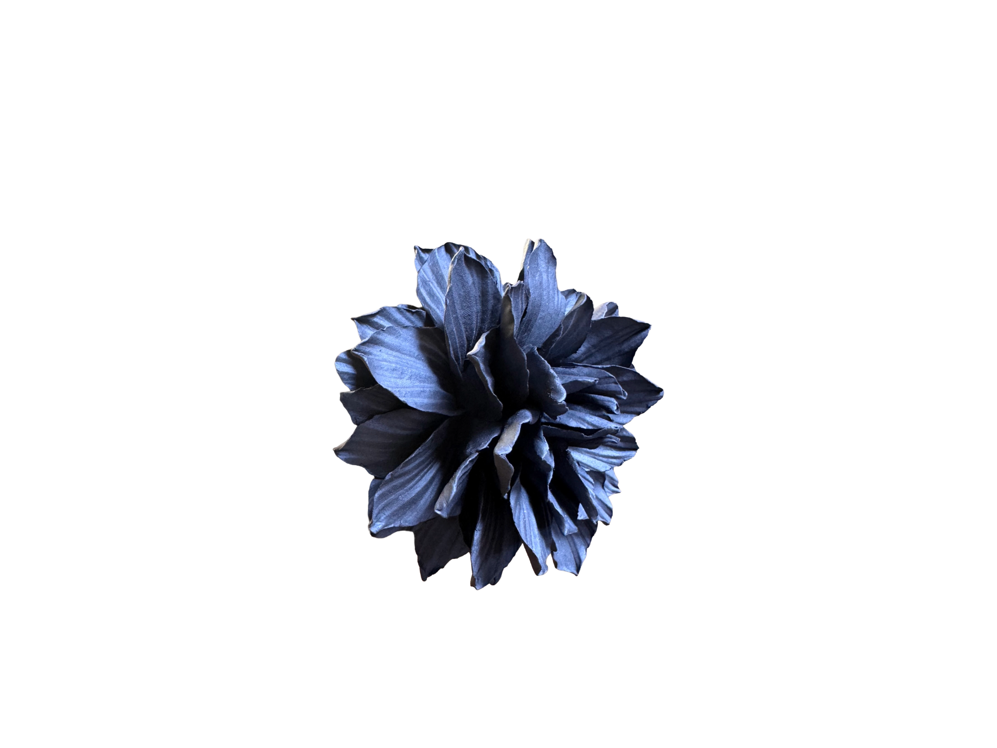 Remove background project - June 18, 2026 at 12.13.44-81.png