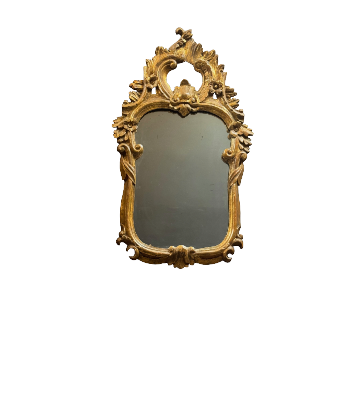 Remove background project-1459.png