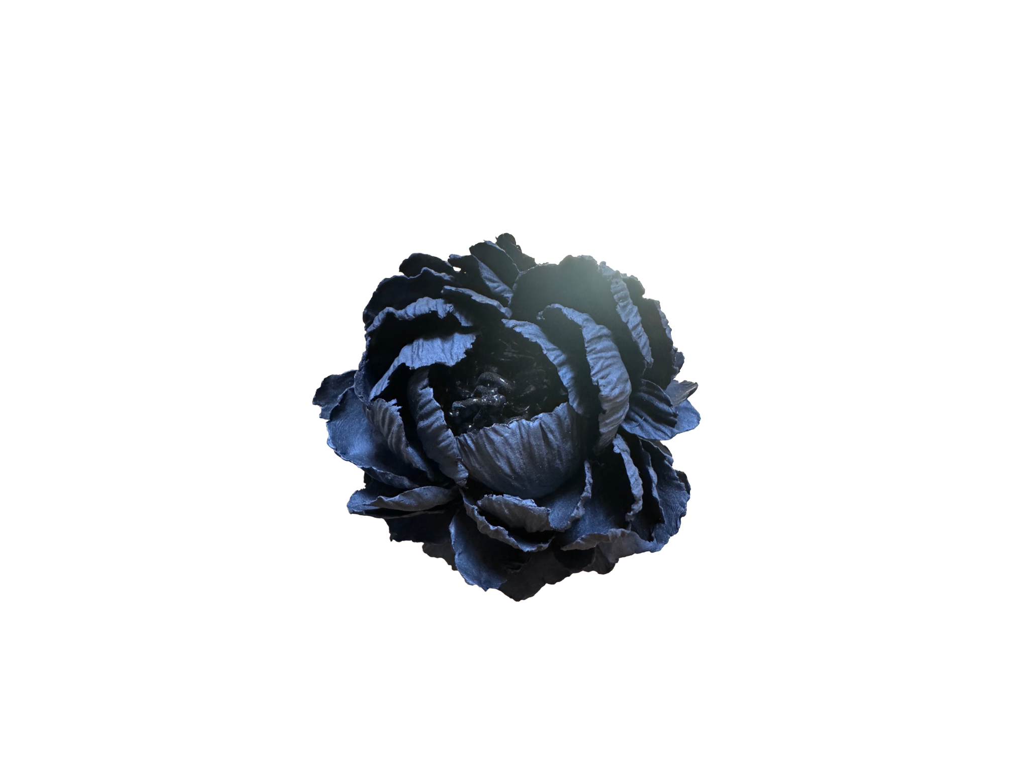 Remove background project - June 18, 2026 at 12.13.44-96.png