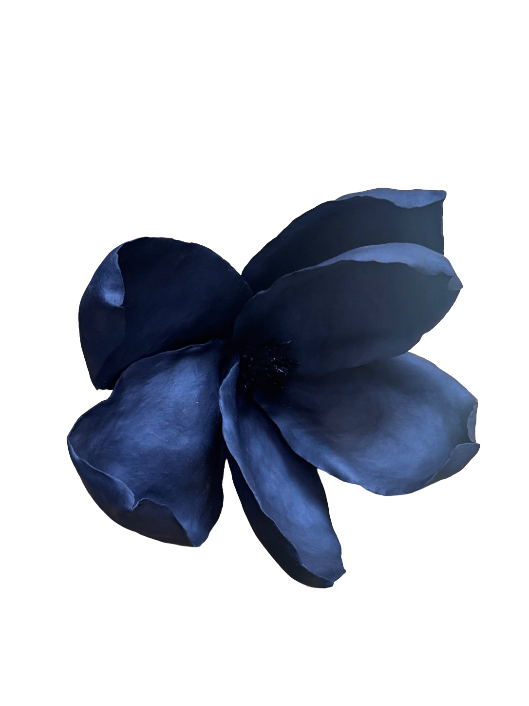 Remove background project - August 12, 2026 at 11.30.40-52.png