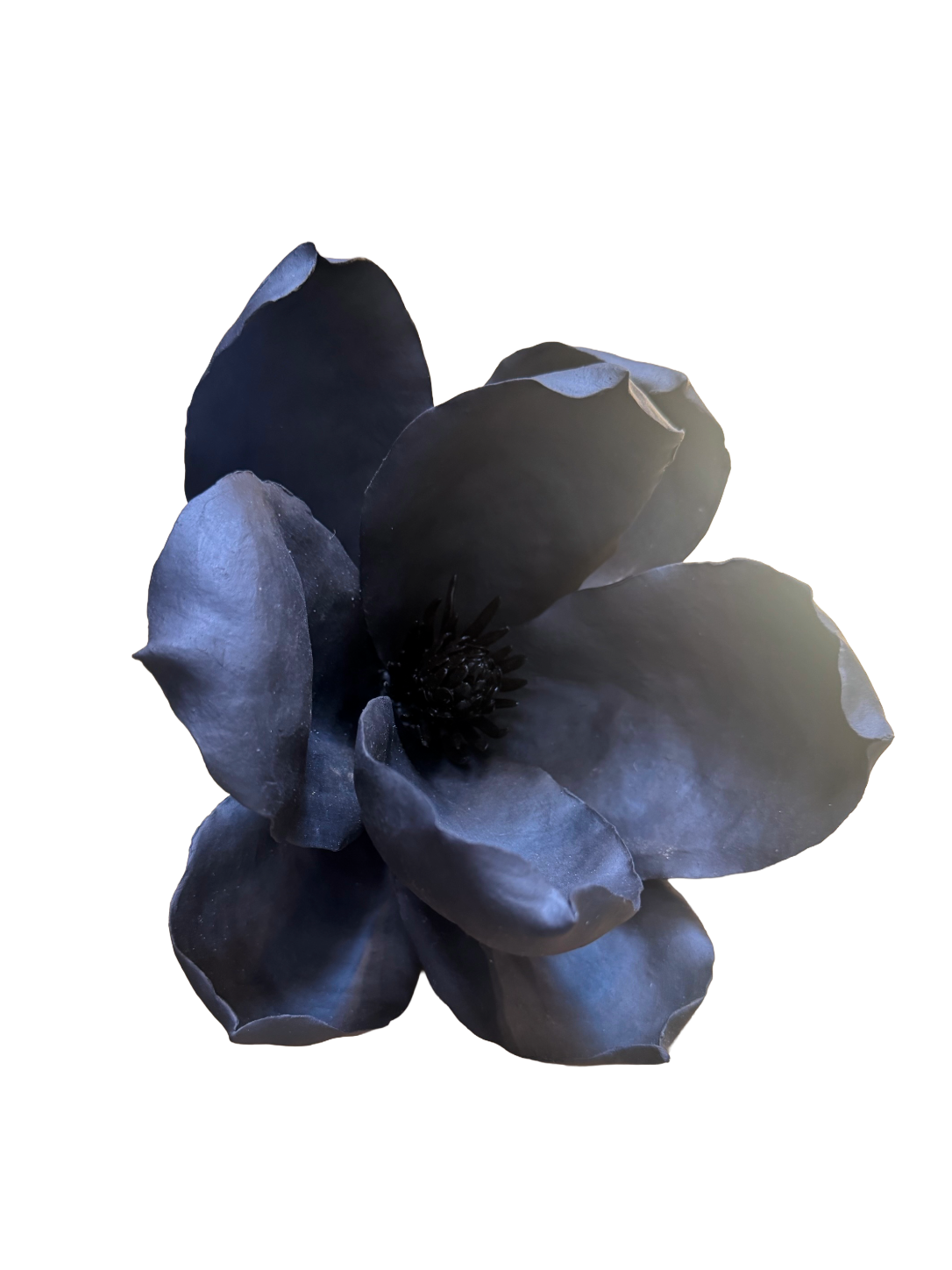 Remove background project - August 12, 2026 at 11.30.40-47.png