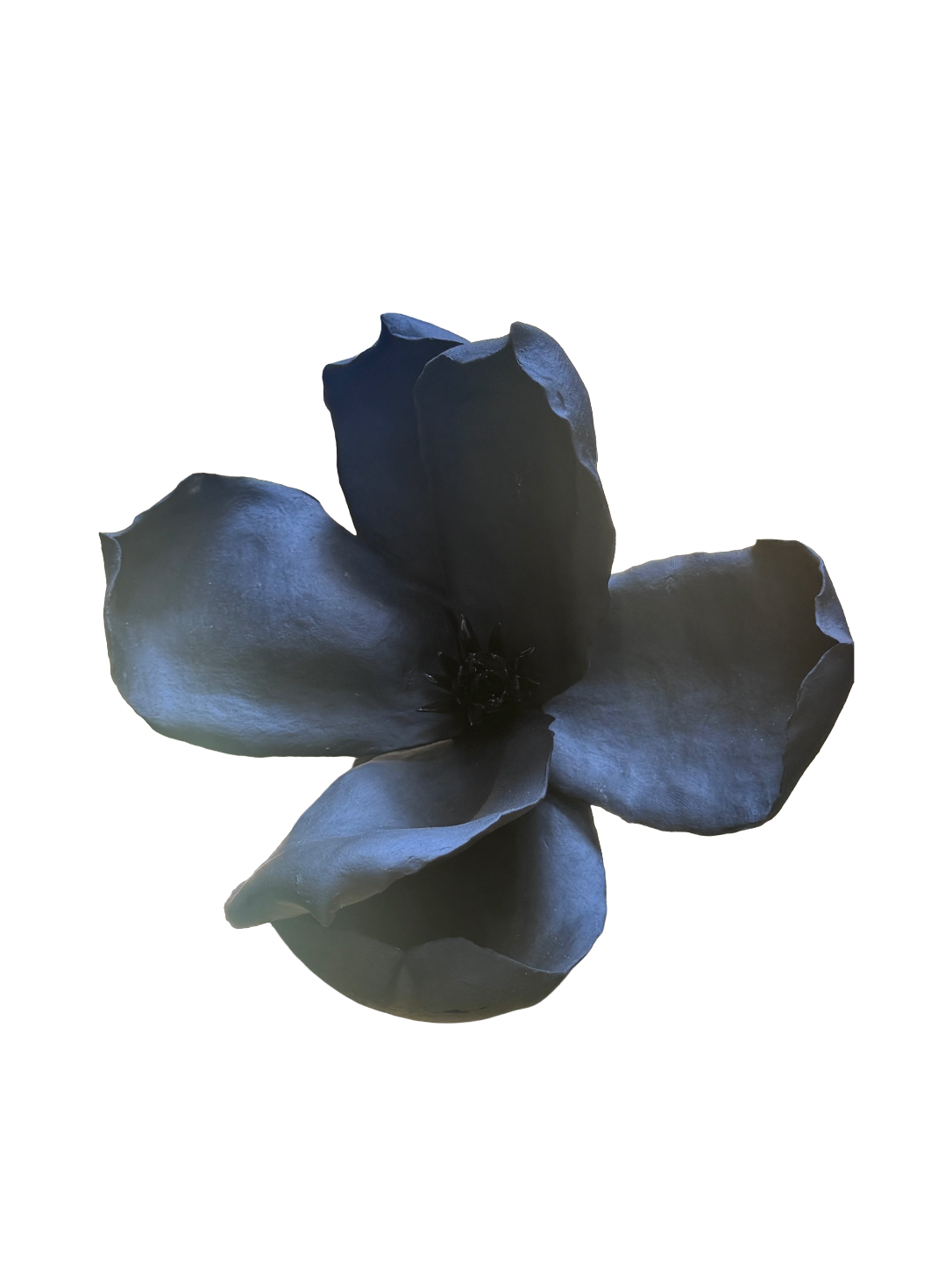 Remove background project - August 12, 2026 at 11.30.40-57.png