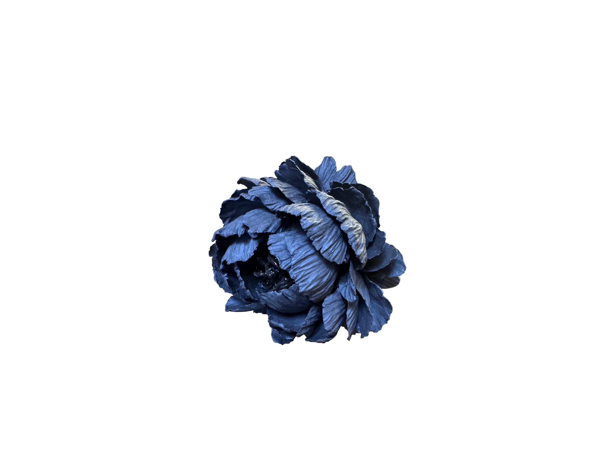 Remove background project - June 18, 2026 at 12.13.44-100.png