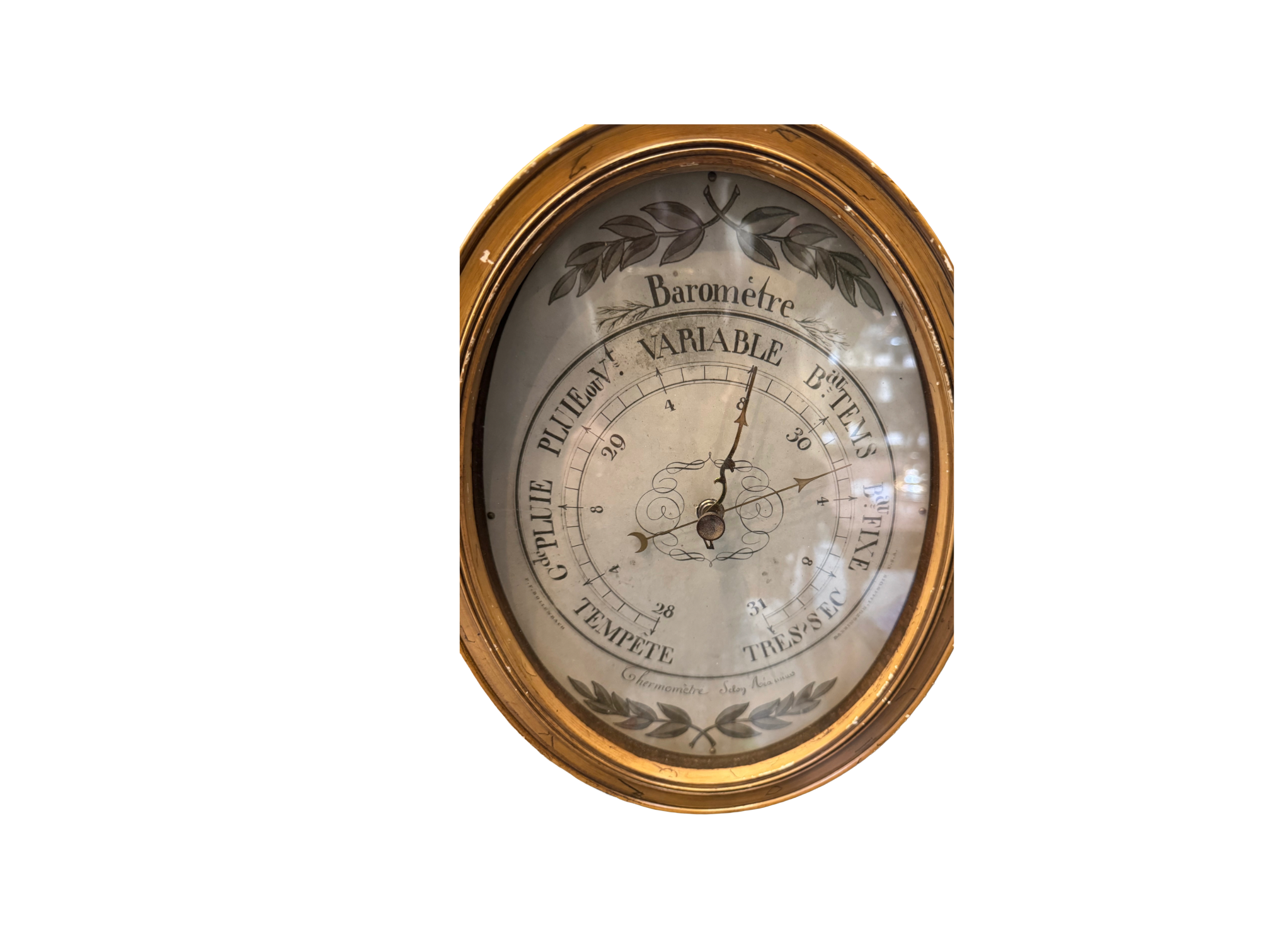 Remove background project-1622.png