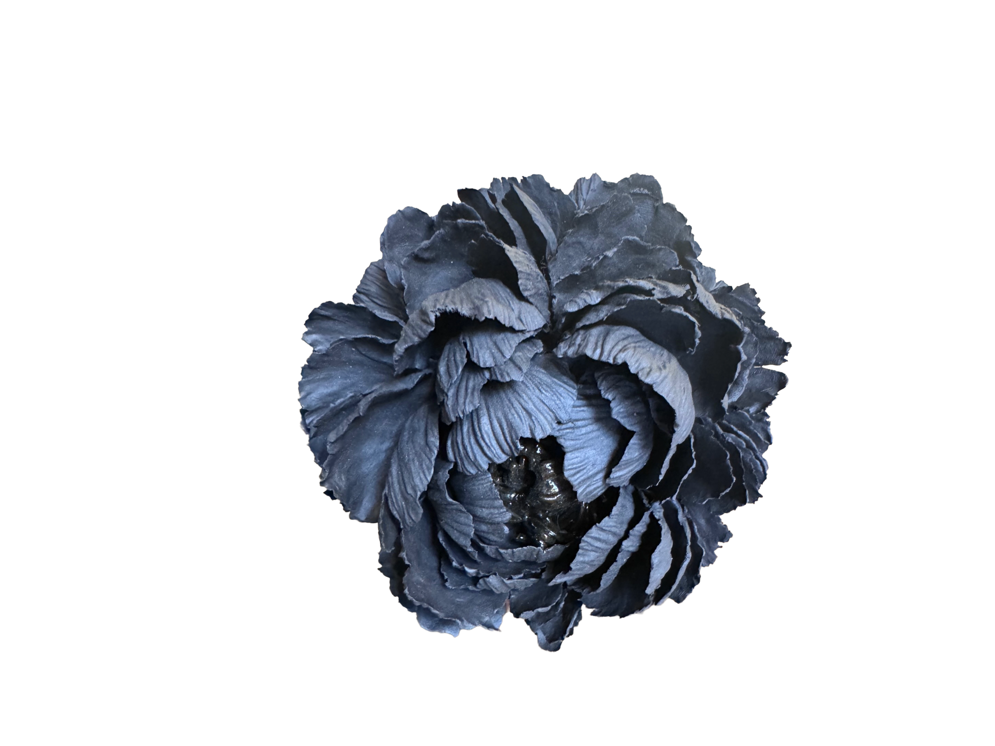 Remove background project - June 18, 2026 at 12.13.44-110.png