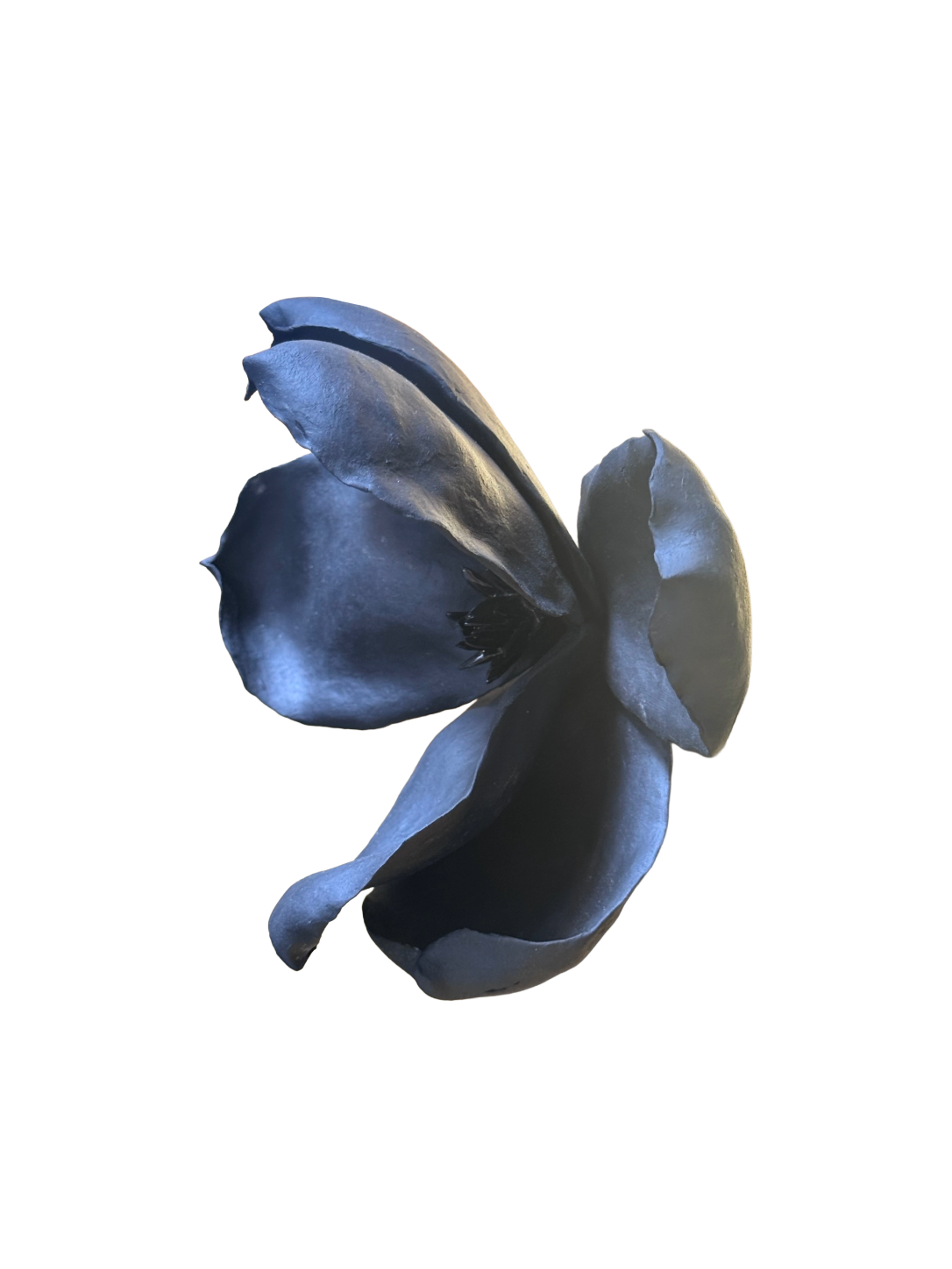 Remove background project - August 12, 2026 at 11.30.40-59.png