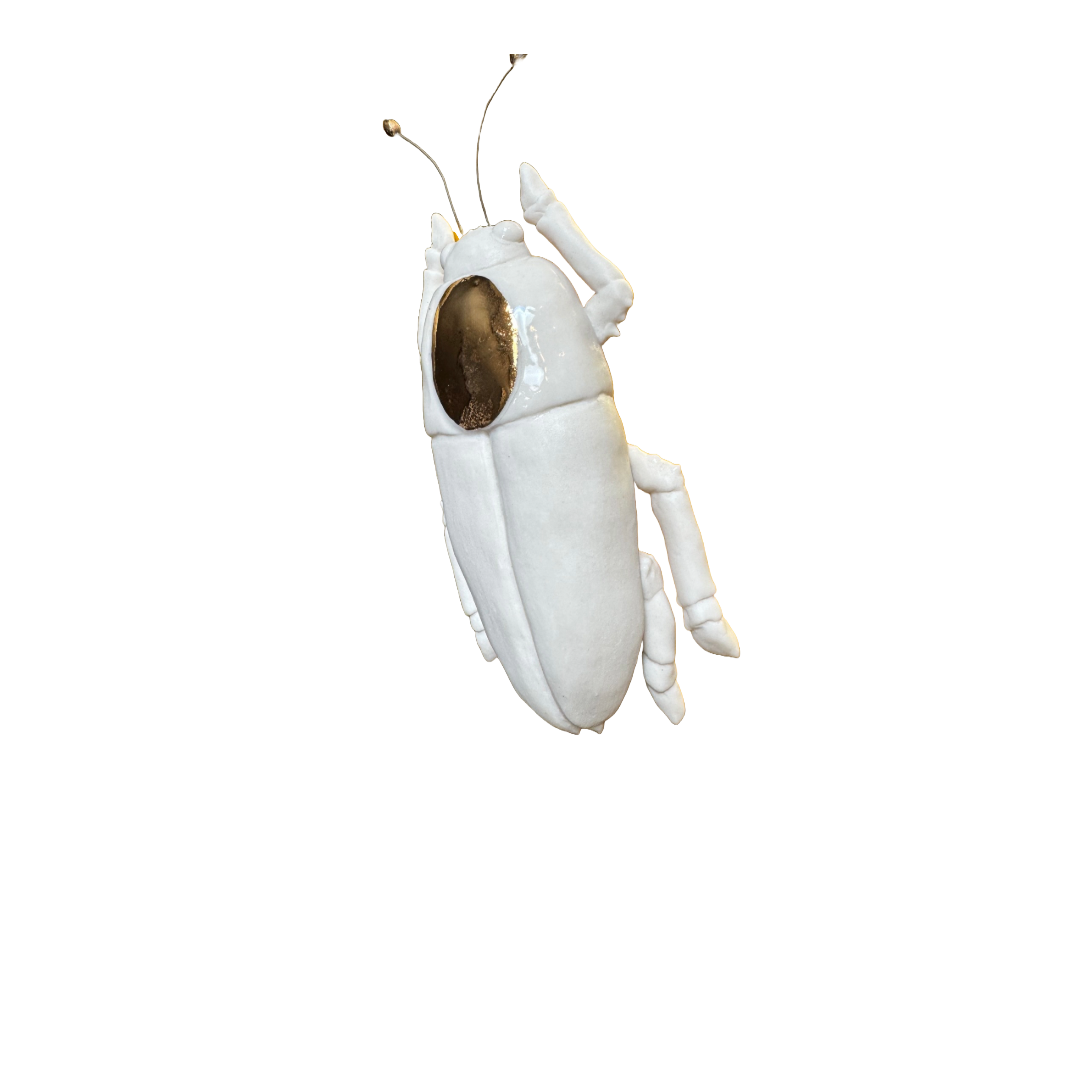 Untitled-42.png