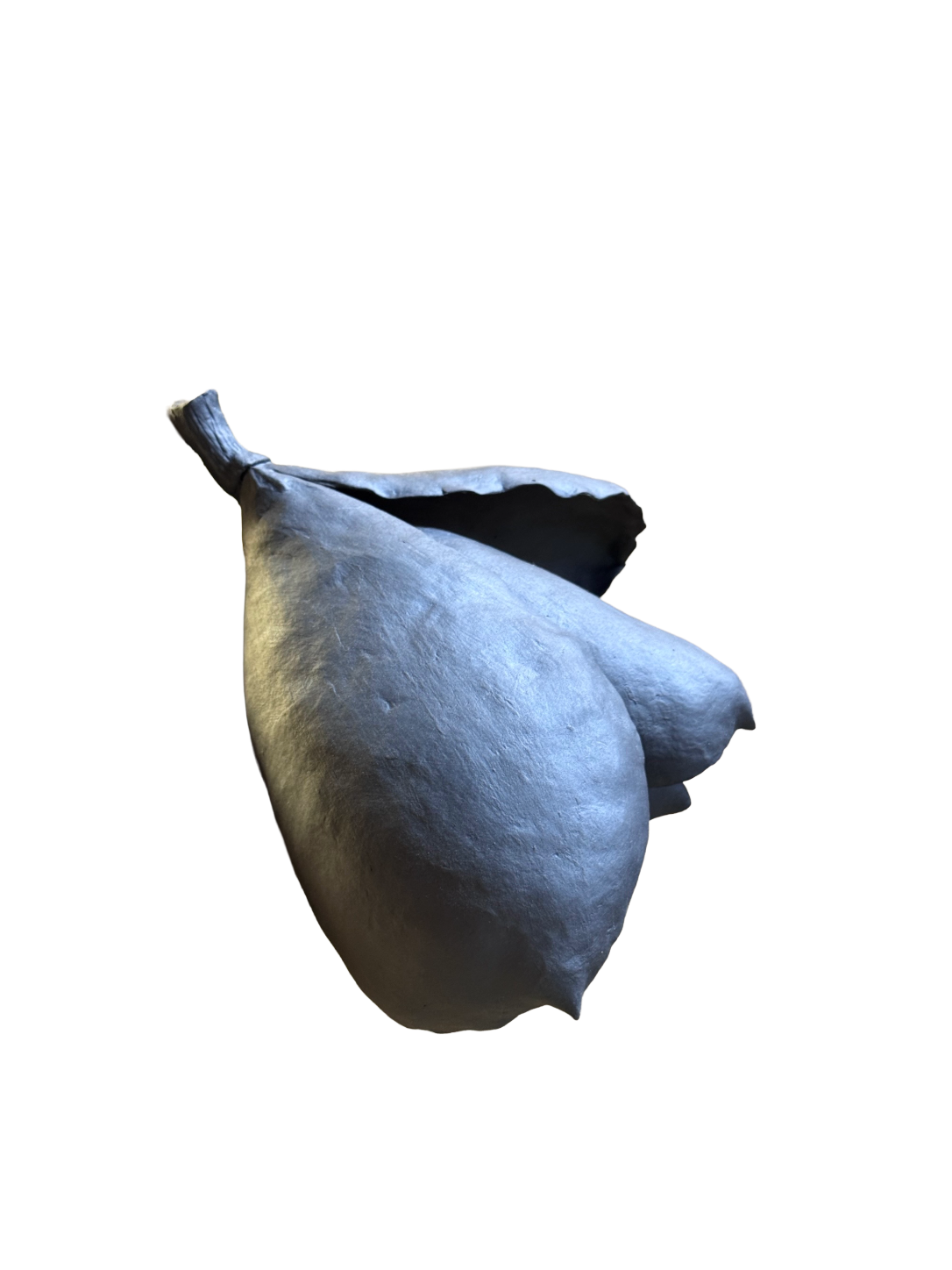 Remove background project - August 12, 2026 at 11.30.40-69.png