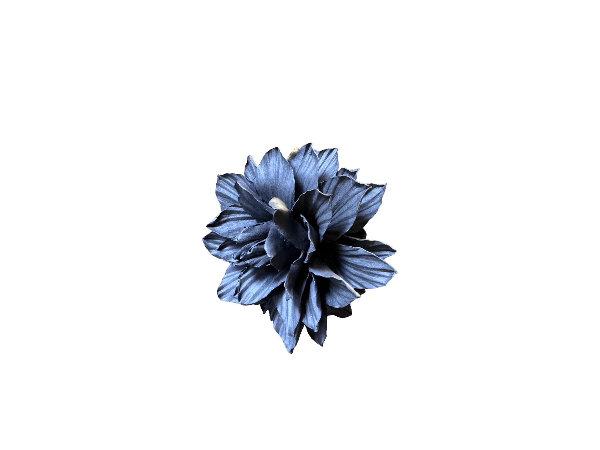 Remove background project - June 18, 2026 at 12.13.44-82.png