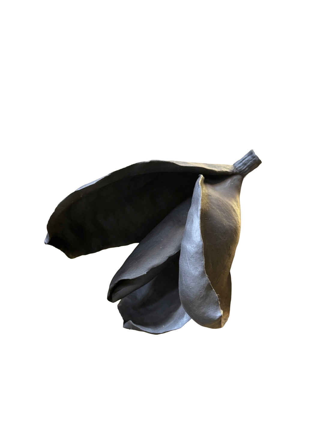 Remove background project - August 12, 2026 at 11.30.40-64.png