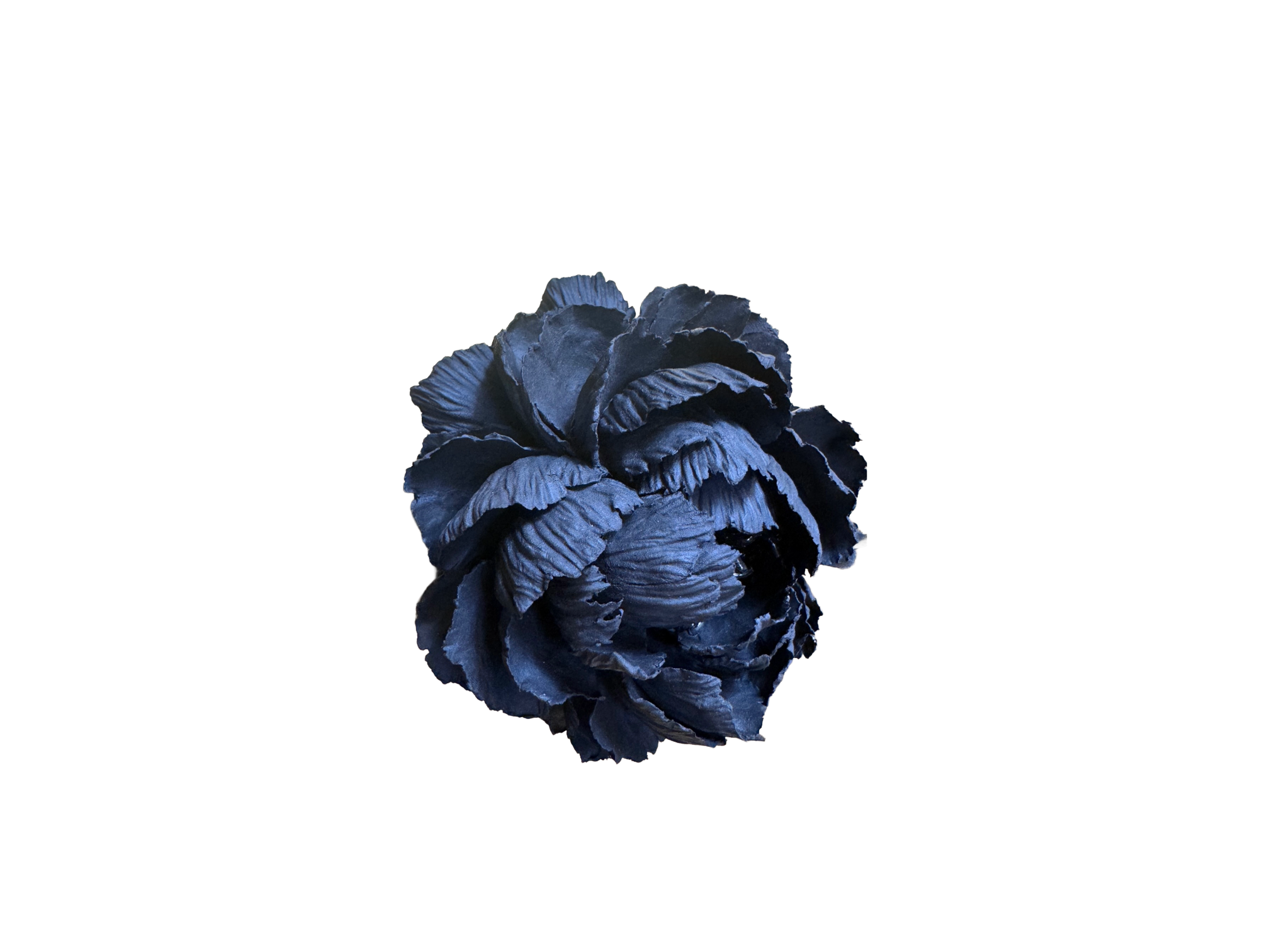 Remove background project - June 18, 2026 at 12.13.44-104.png