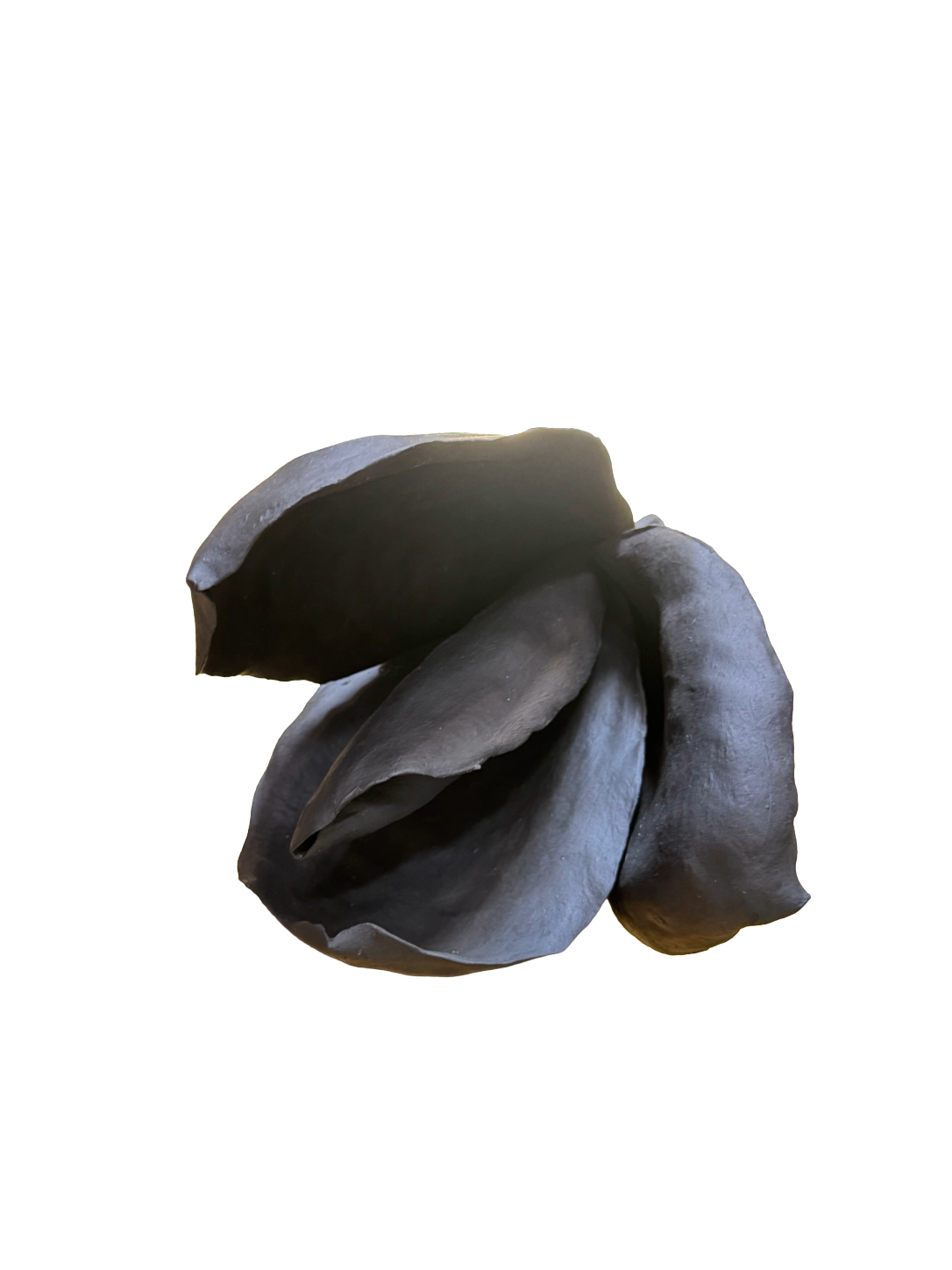 Remove background project - August 12, 2026 at 11.30.40-65.png