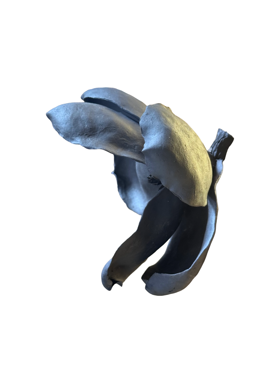 Remove background project - August 12, 2026 at 11.30.40-58.png