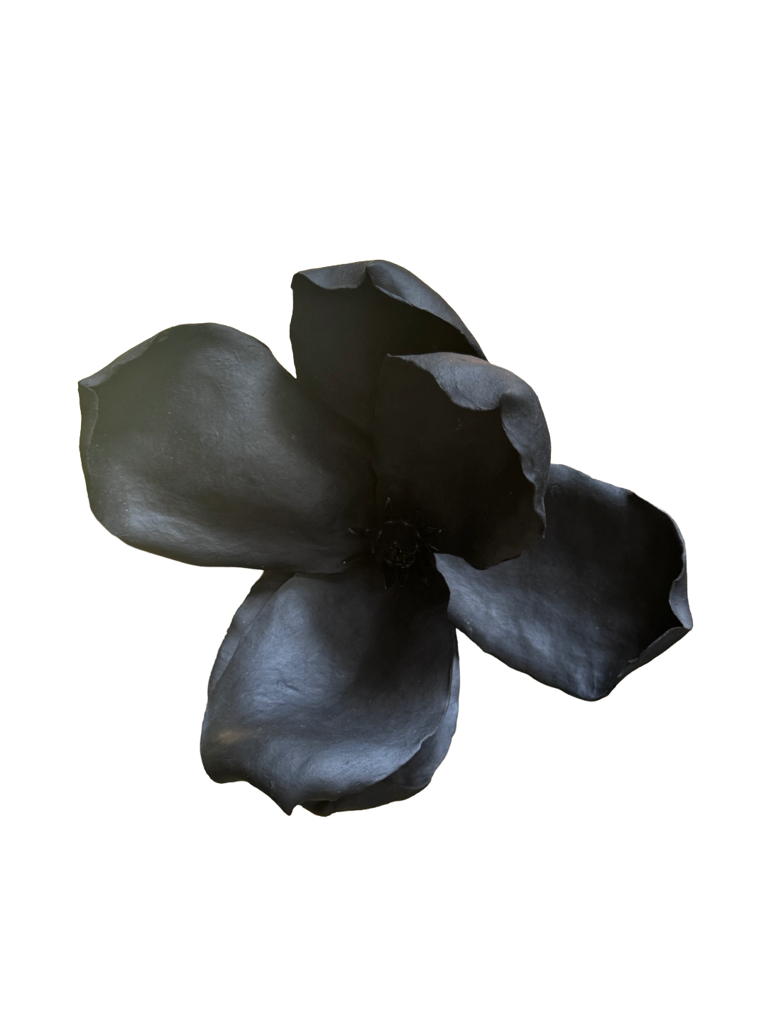 Remove background project - August 12, 2026 at 11.30.40-61.png